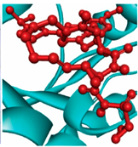 Vaccines 10 01248 i014