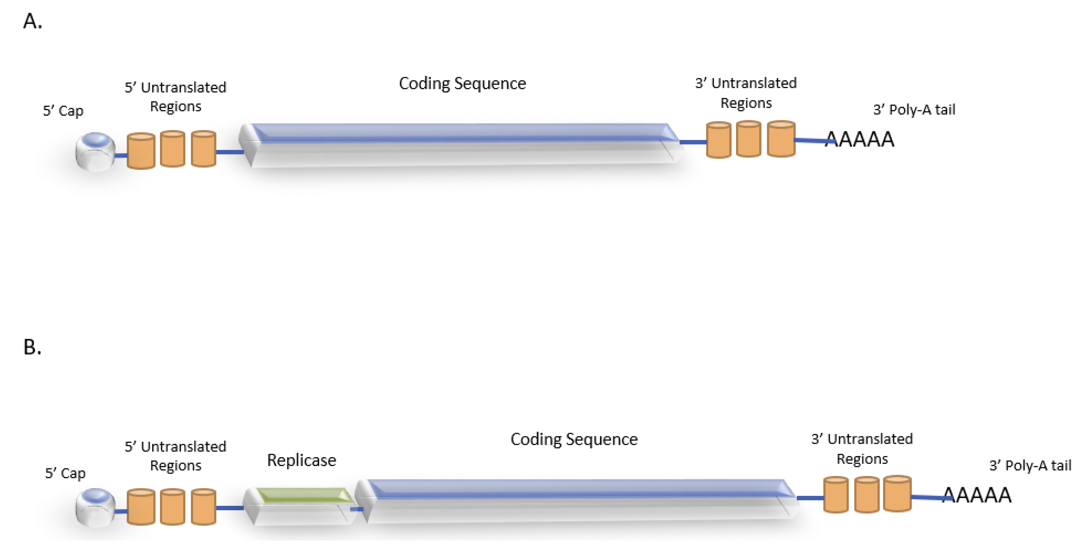 Vaccines 10 01262 g002