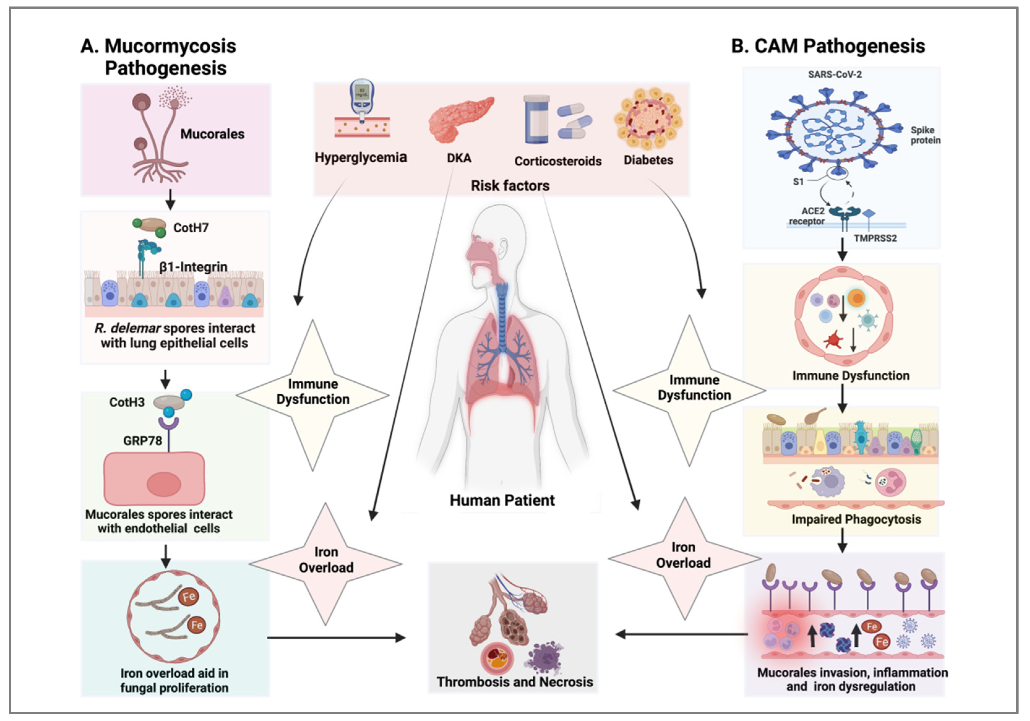 Vaccines 10 01266 g001 Vaccines 10 01266 g001