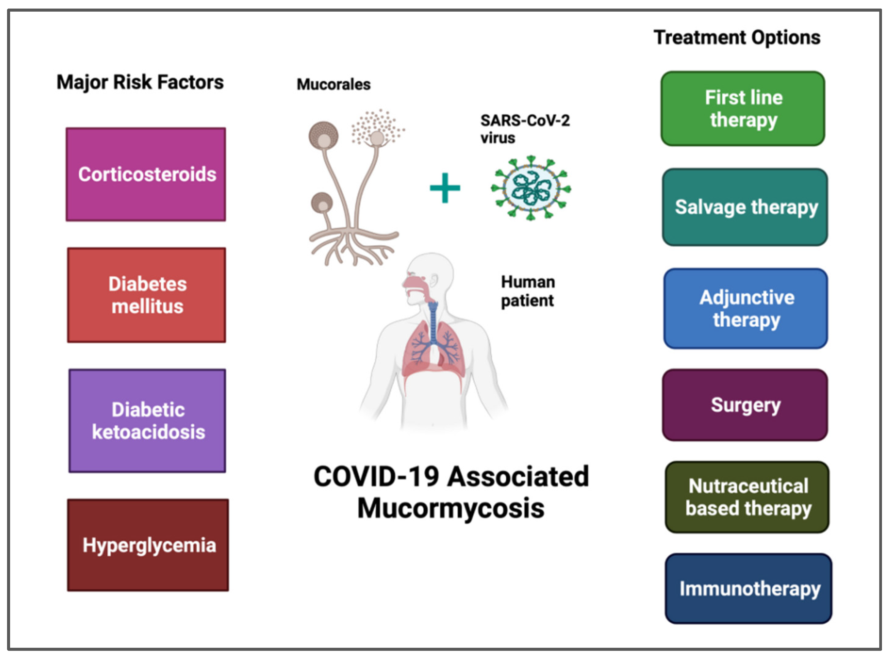 Vaccines 10 01266 g002 Vaccines 10 01266 g002
