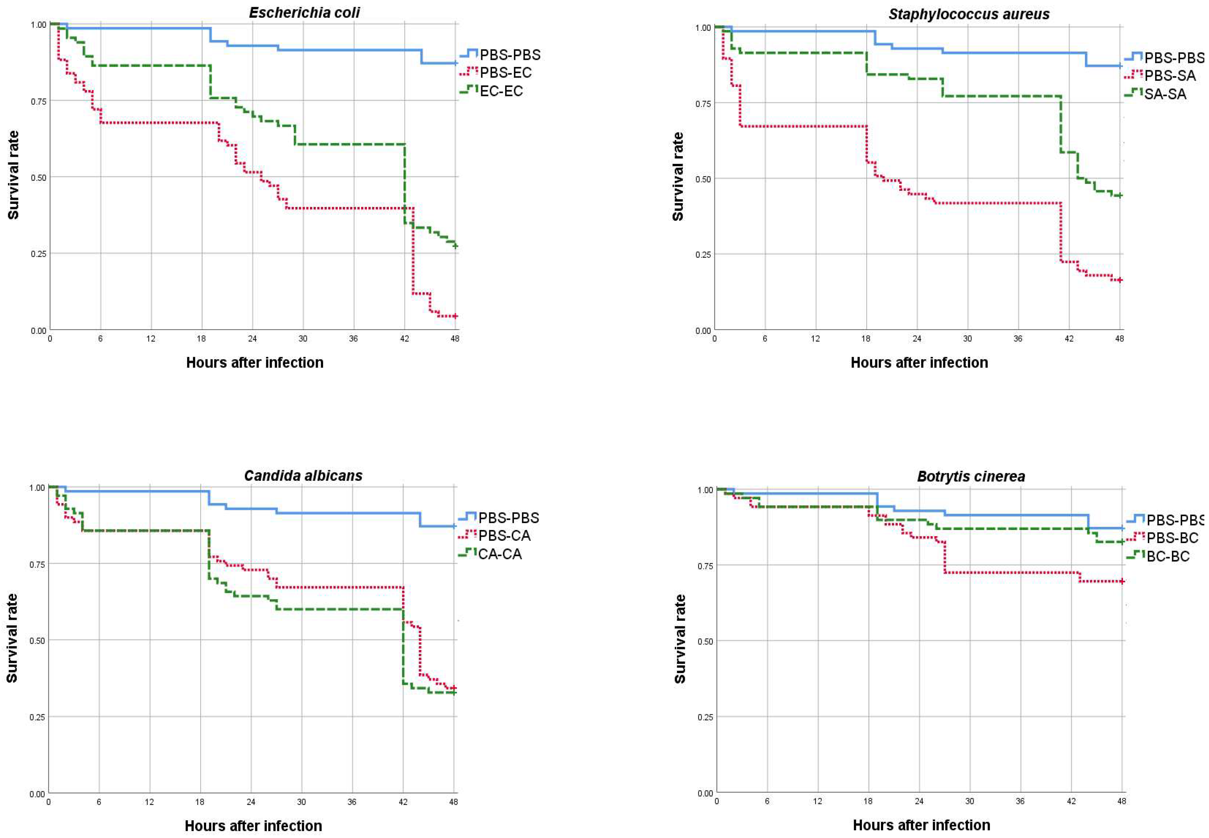 Vaccines 10 01296 g001