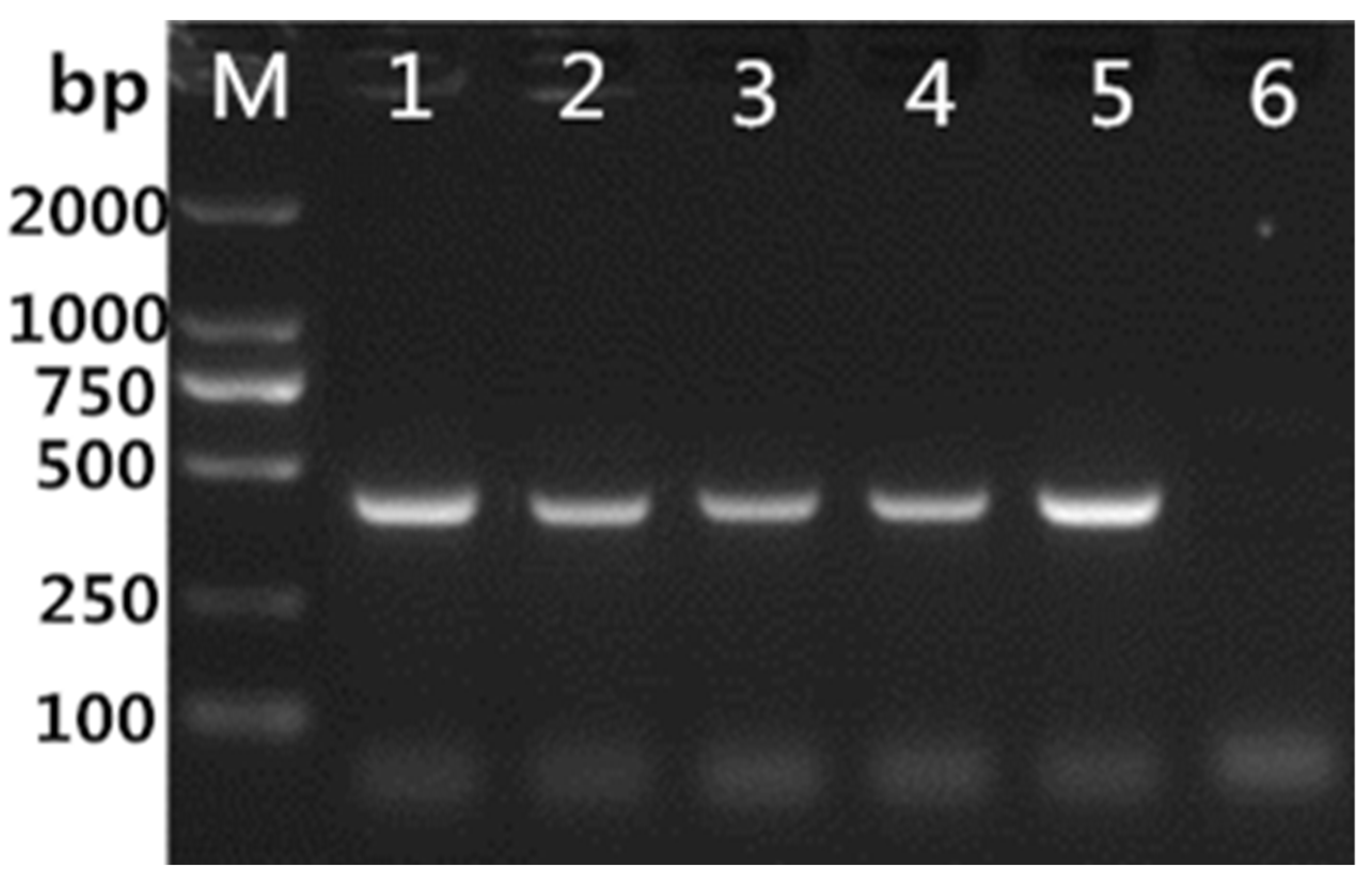 Vaccines 10 01303 g002