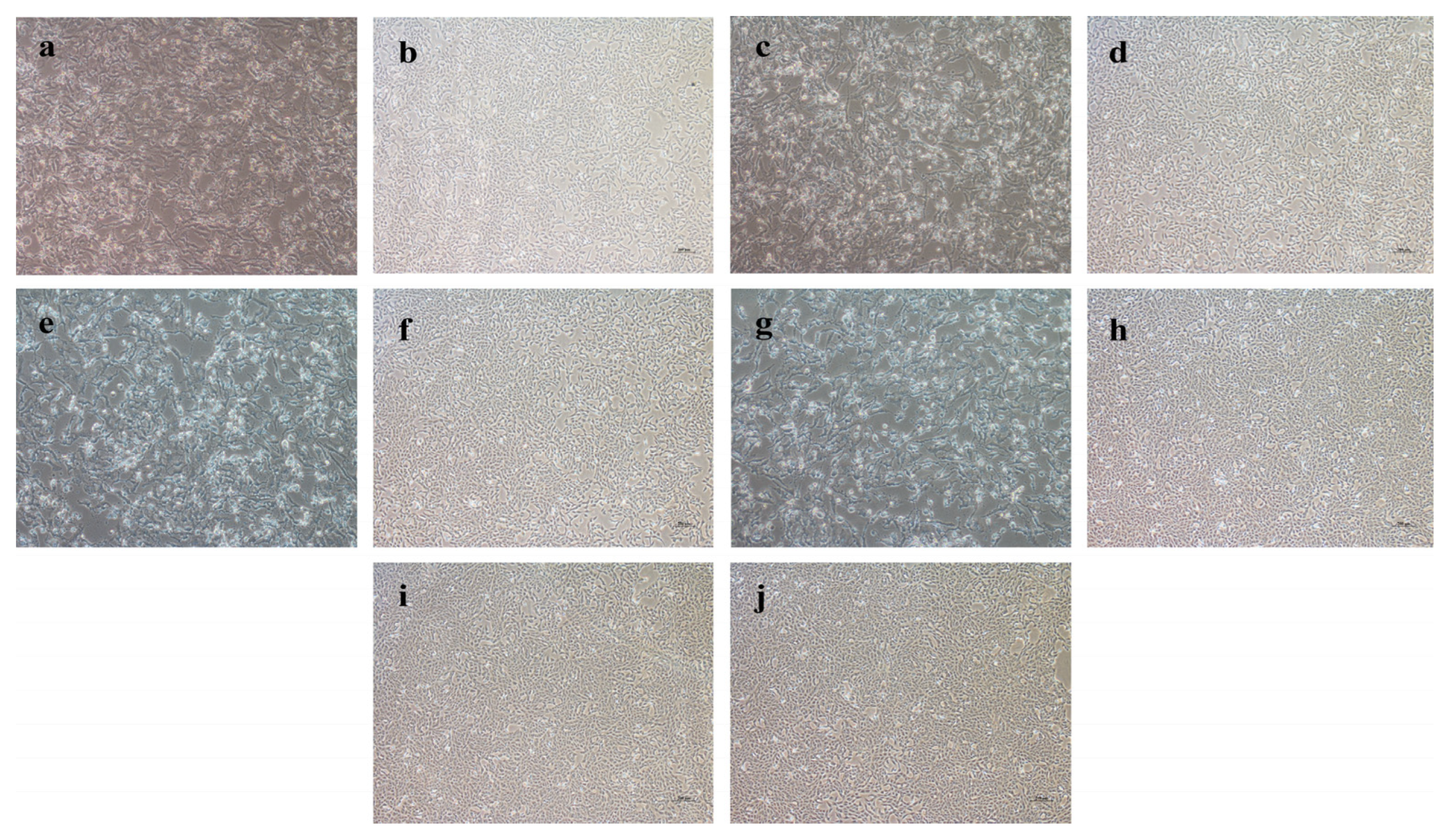 Vaccines 10 01303 g003