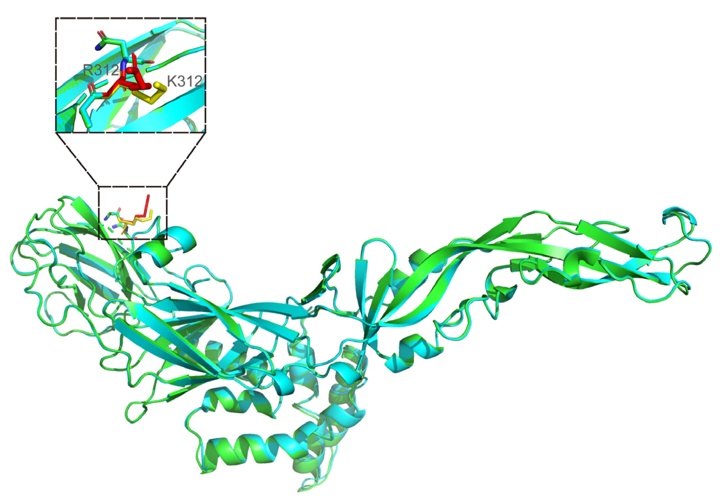 Vaccines 10 01303 g008
