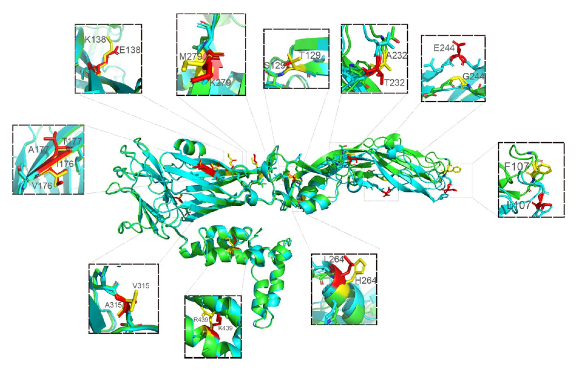 Vaccines 10 01303 g009