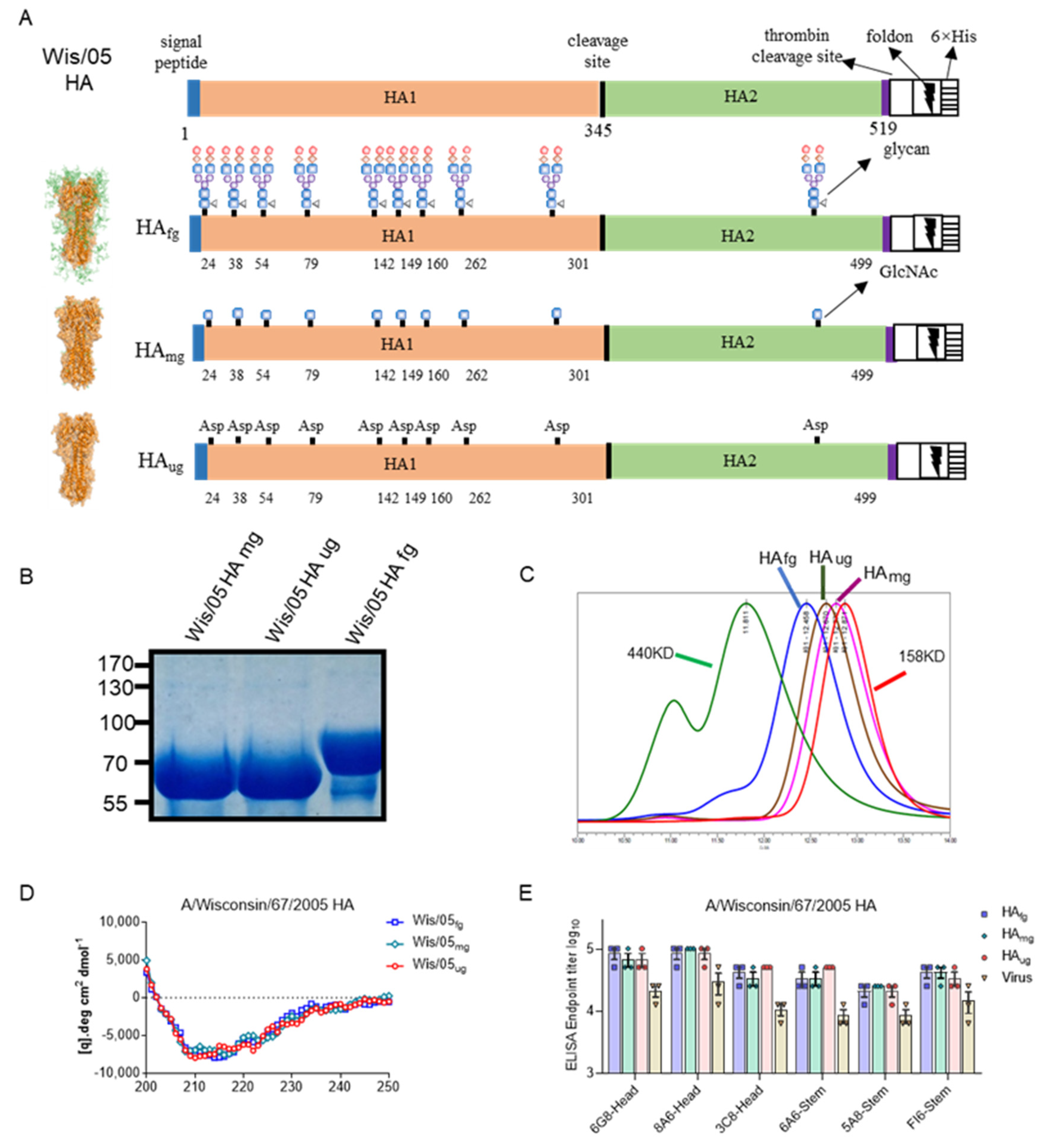 Vaccines 10 01304 g001