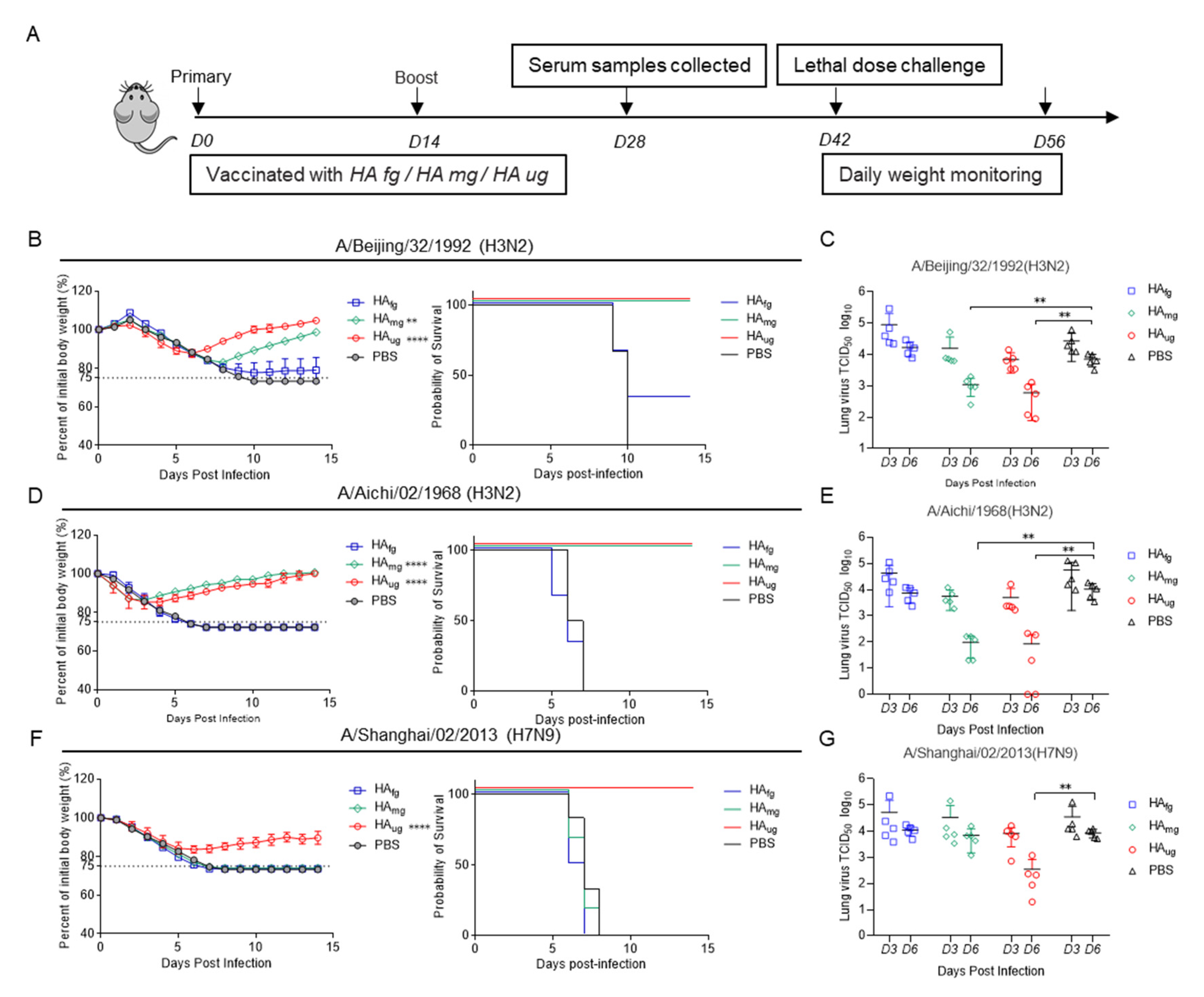 Vaccines 10 01304 g003