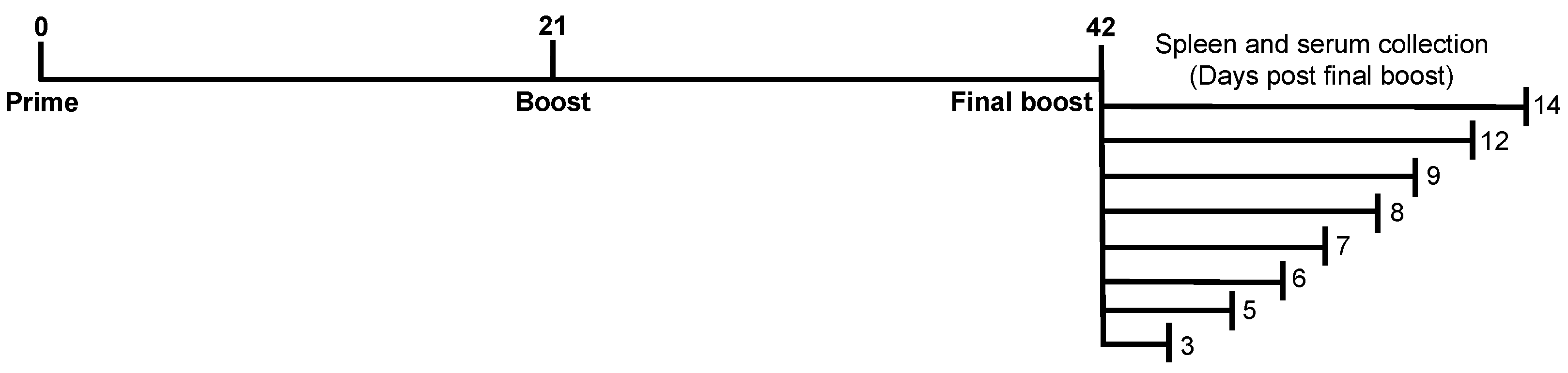 Vaccines 10 01315 g001