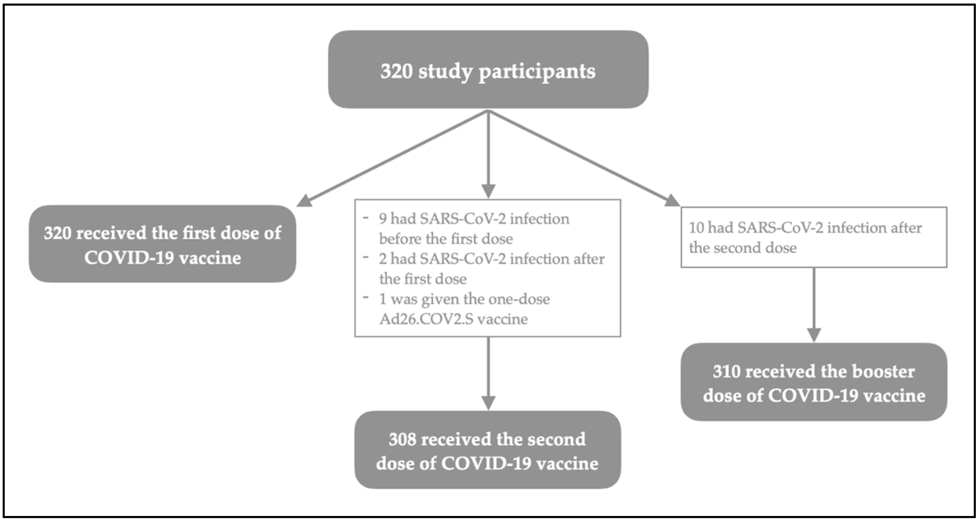 Vaccines 10 01353 g001