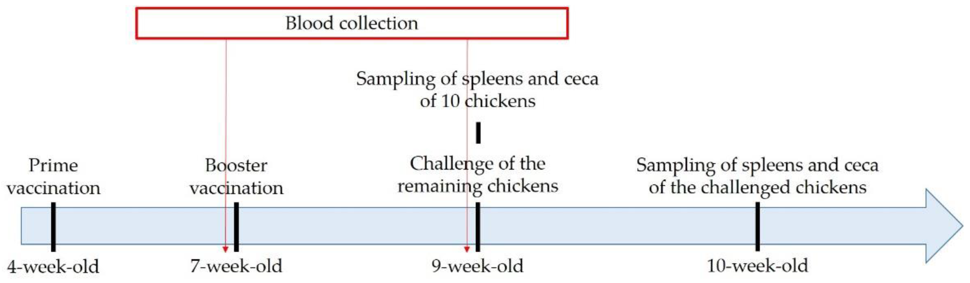 Vaccines 10 01405 g001