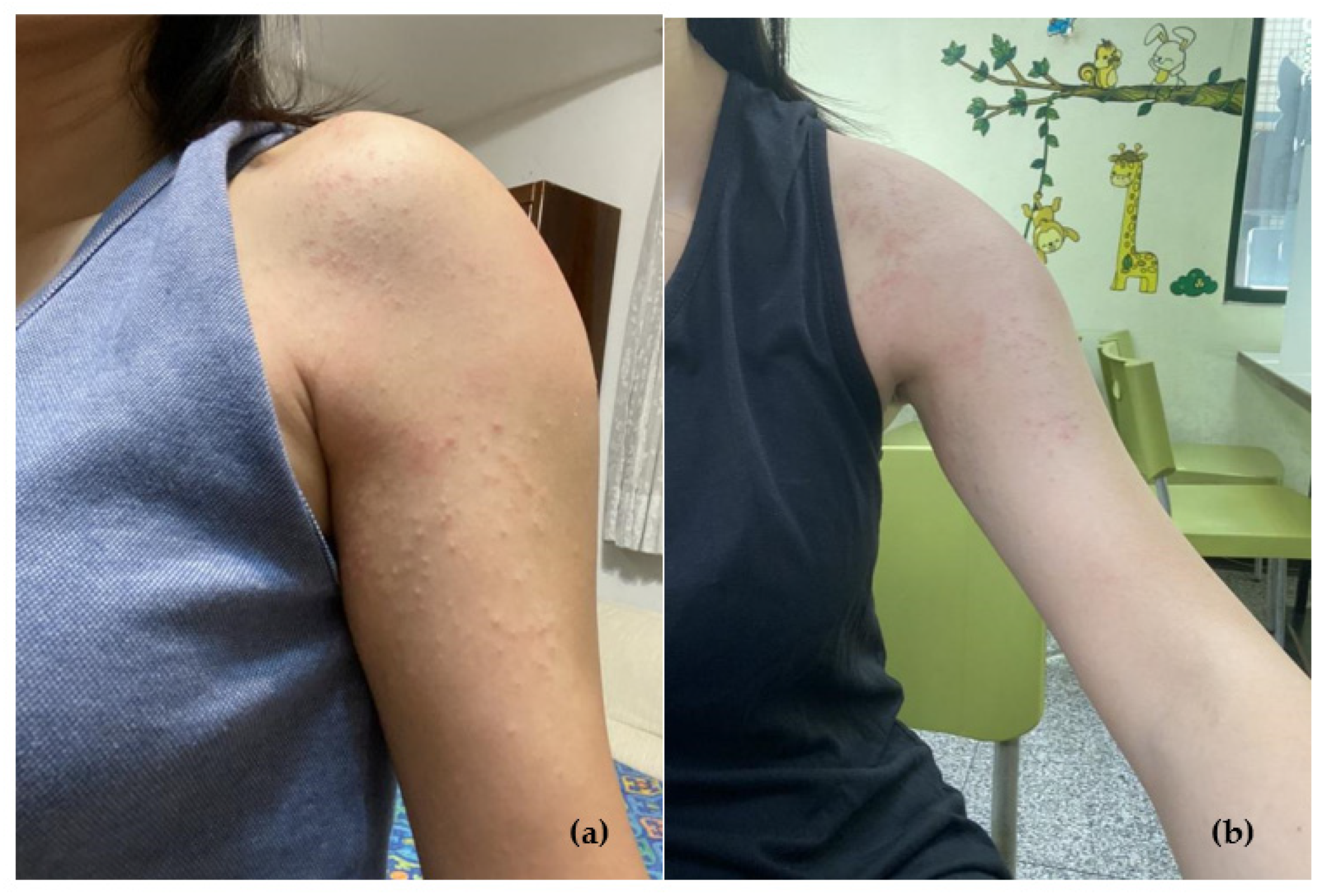 Vaccines 10 01412 g001