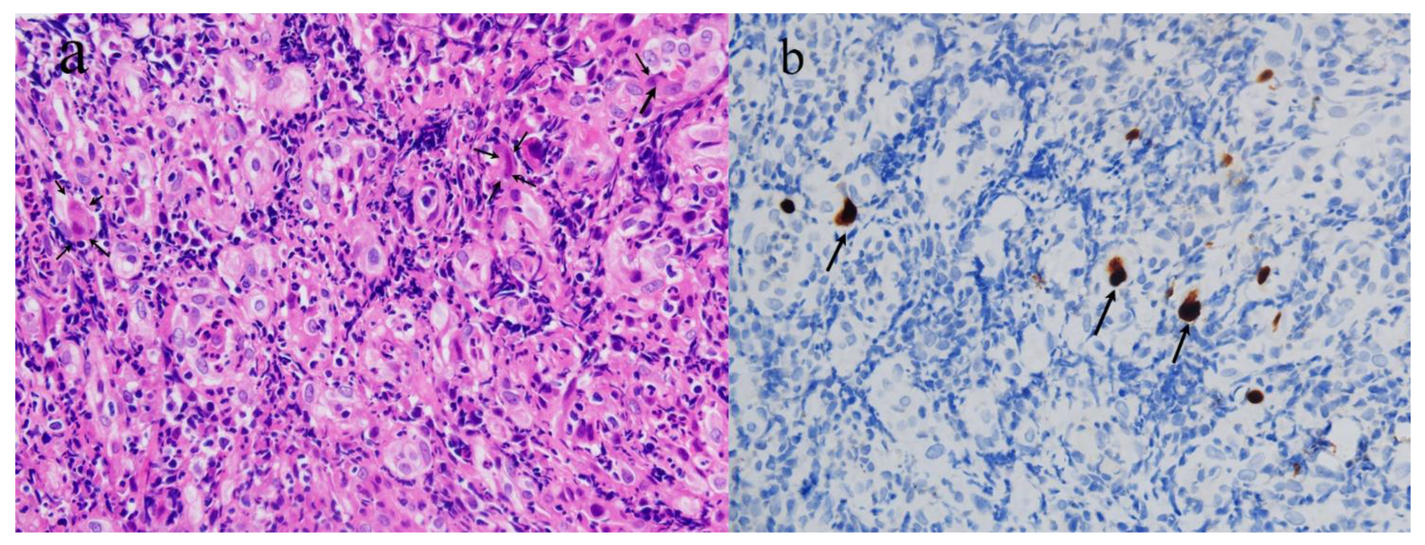 Vaccines 10 01417 g002