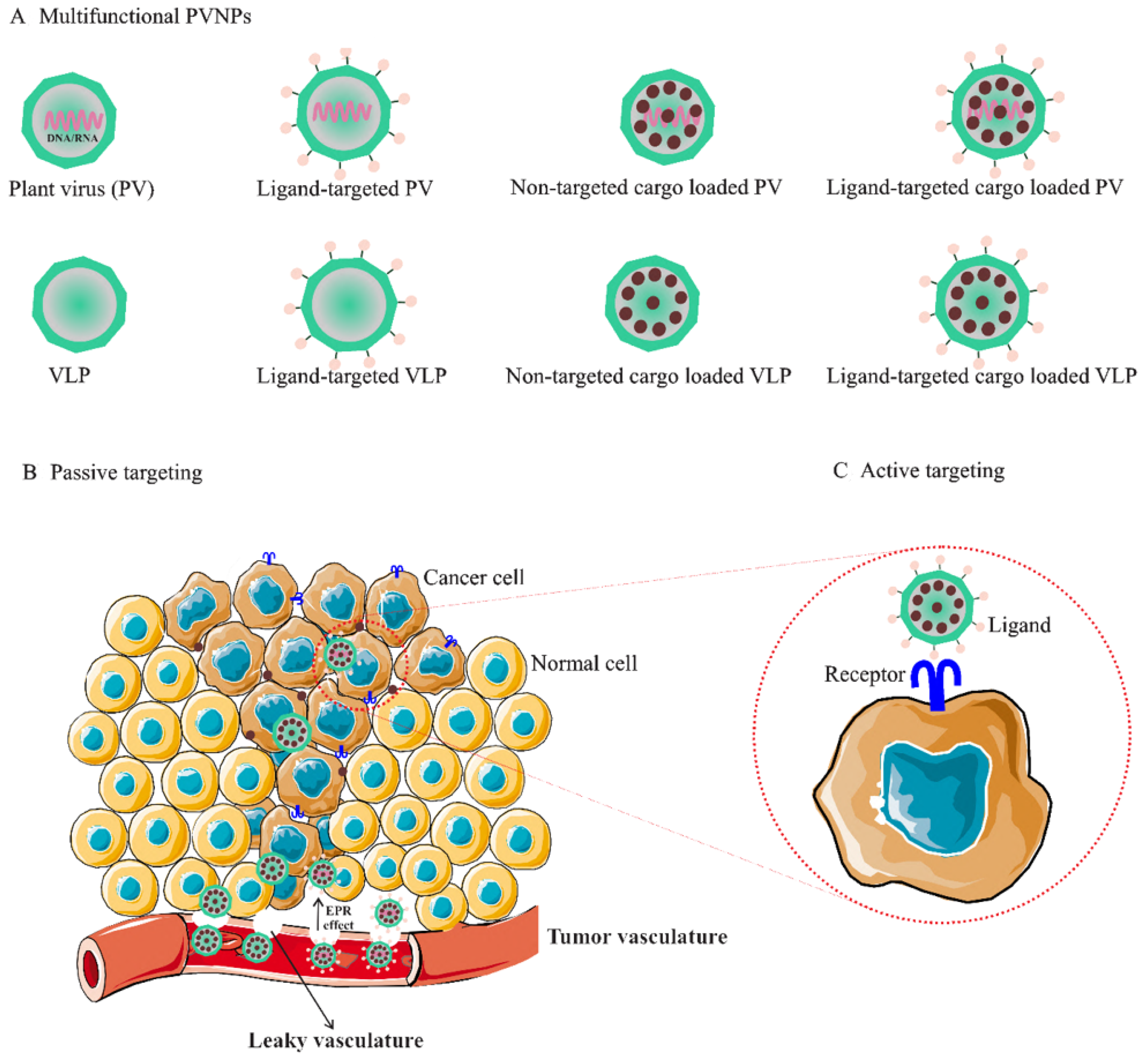 Vaccines 10 01431 g001