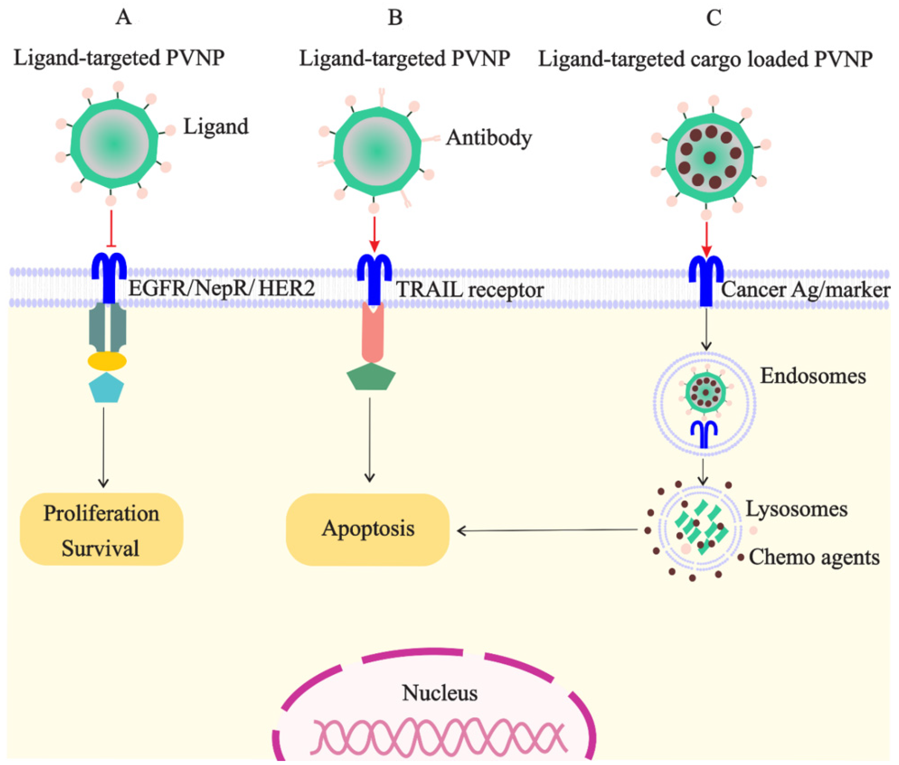 Vaccines 10 01431 g002