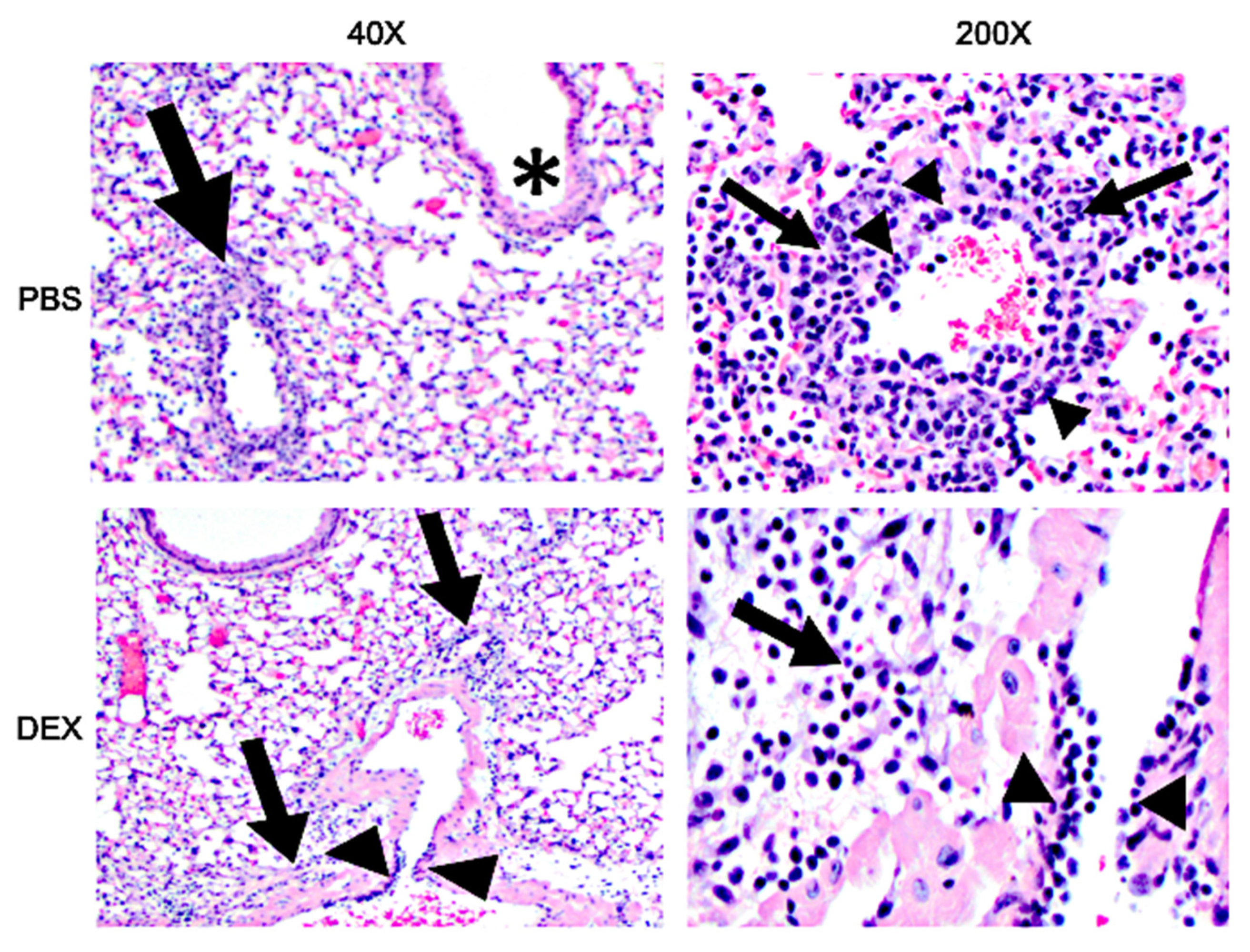 Vaccines 10 01440 g007