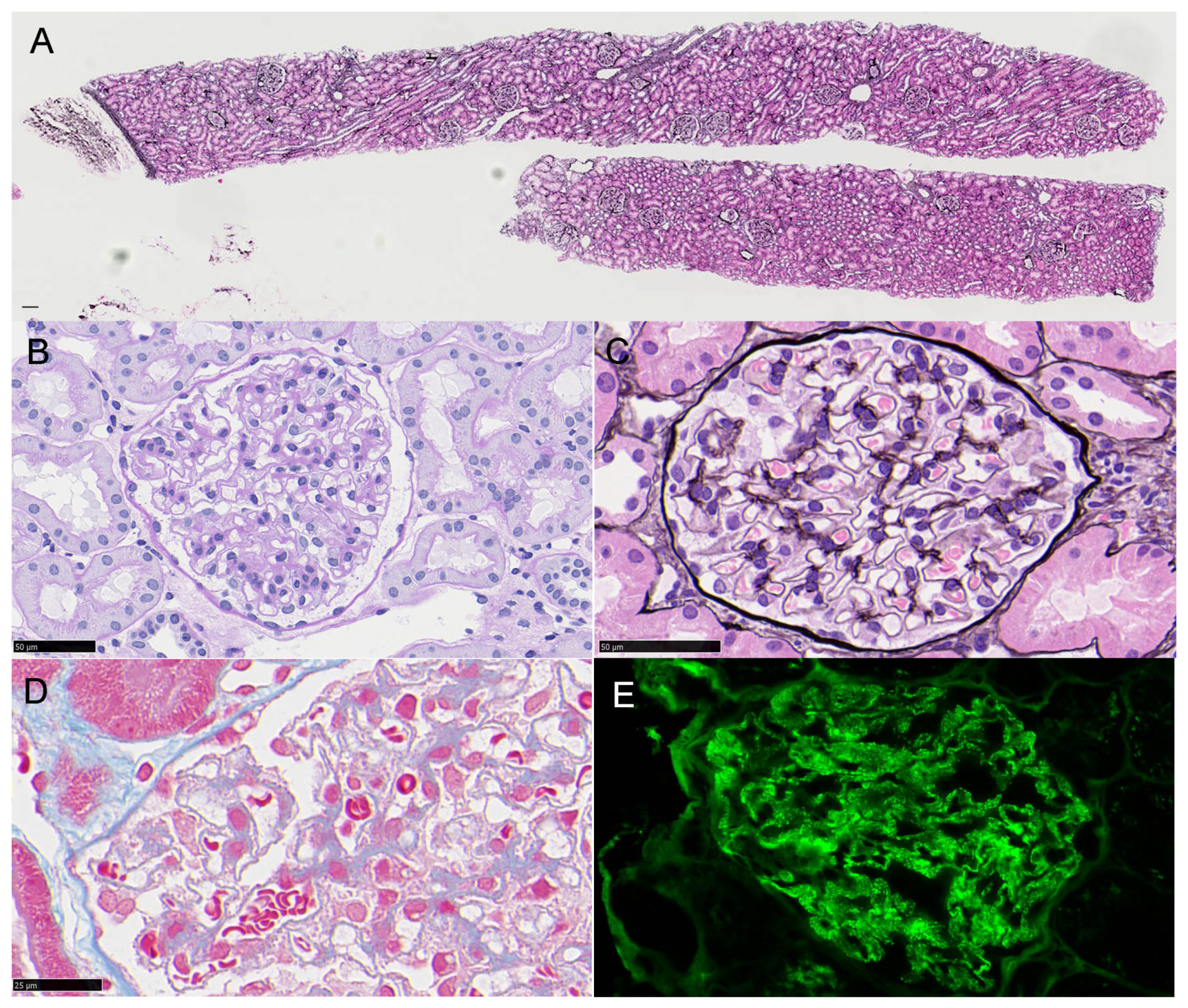 Vaccines 10 01442 g001