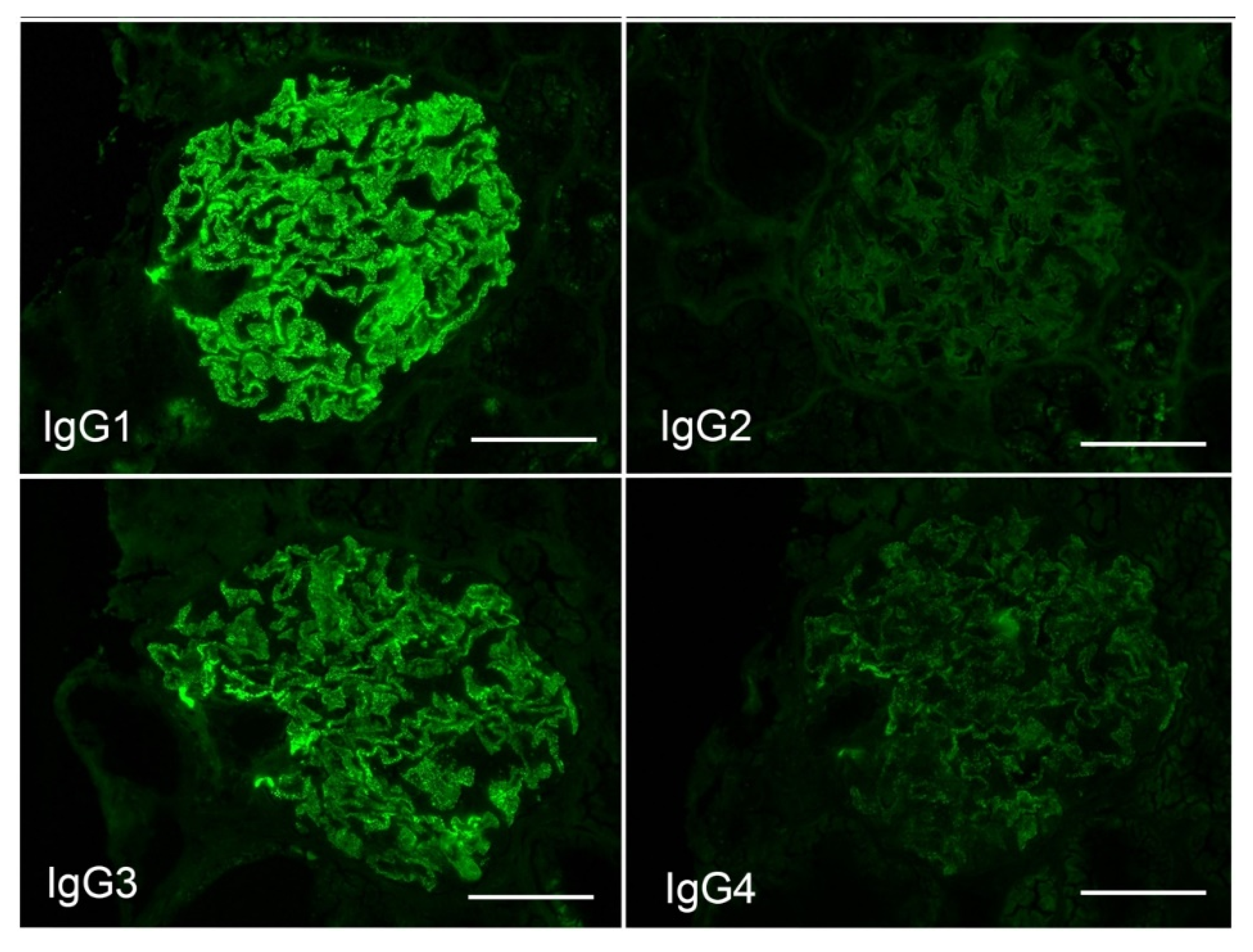Vaccines 10 01442 g002