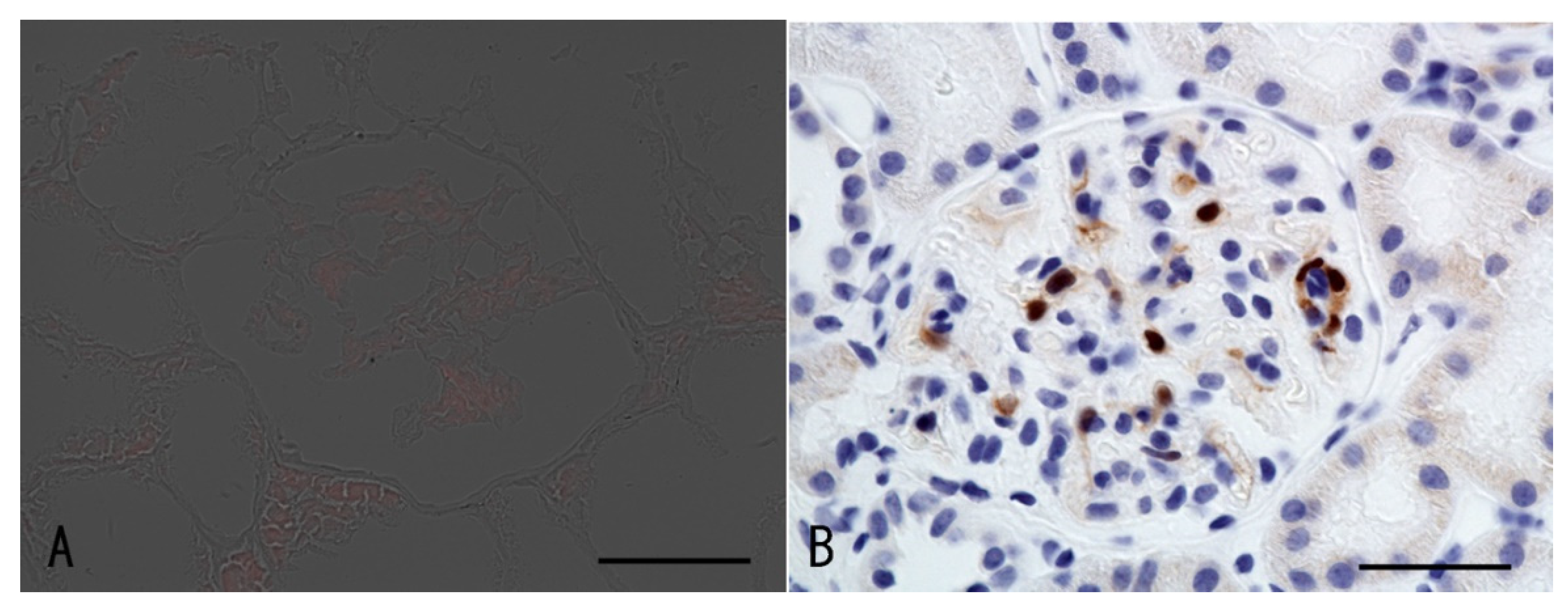 Vaccines 10 01442 g003