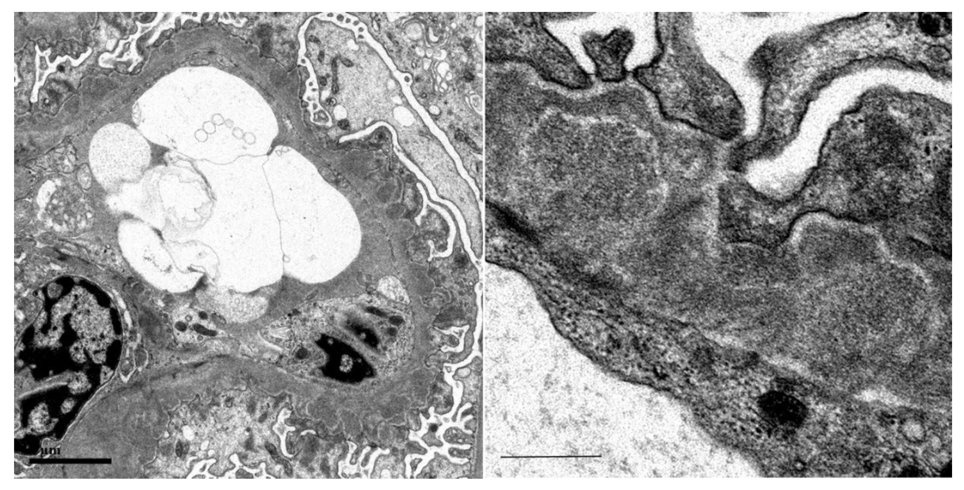 Vaccines 10 01442 g004