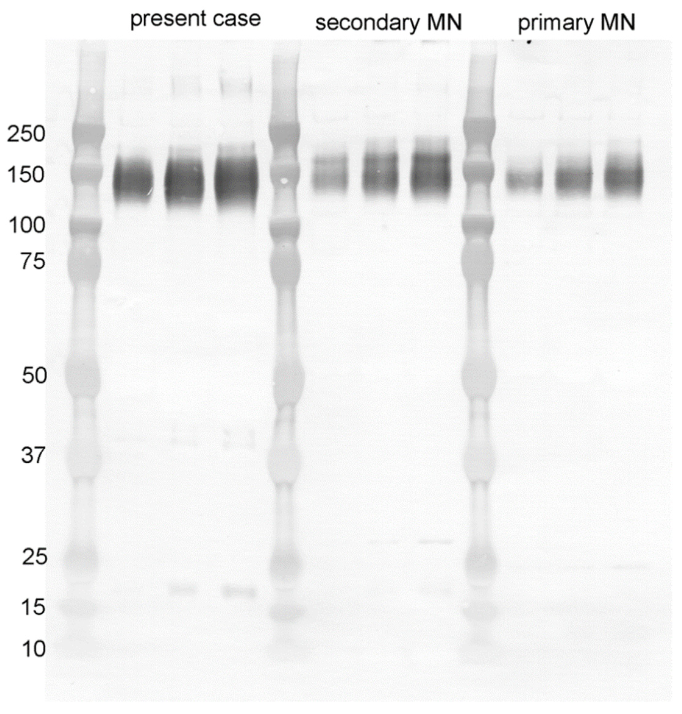 Vaccines 10 01442 g005