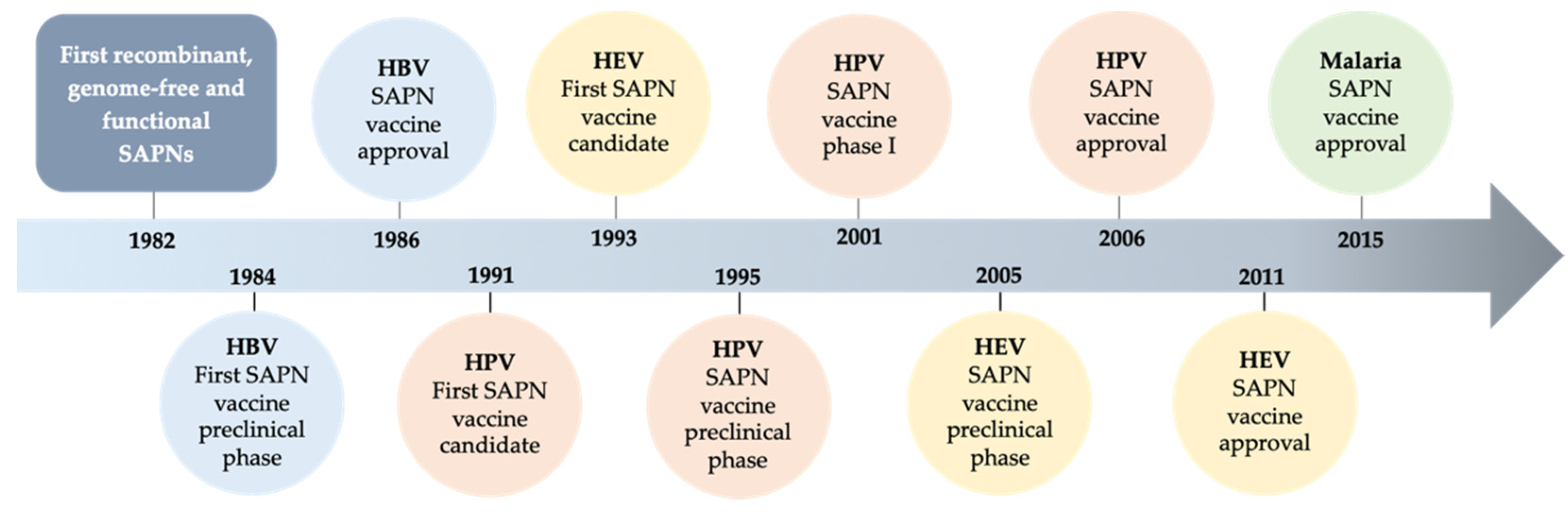 Vaccines 10 01447 g001