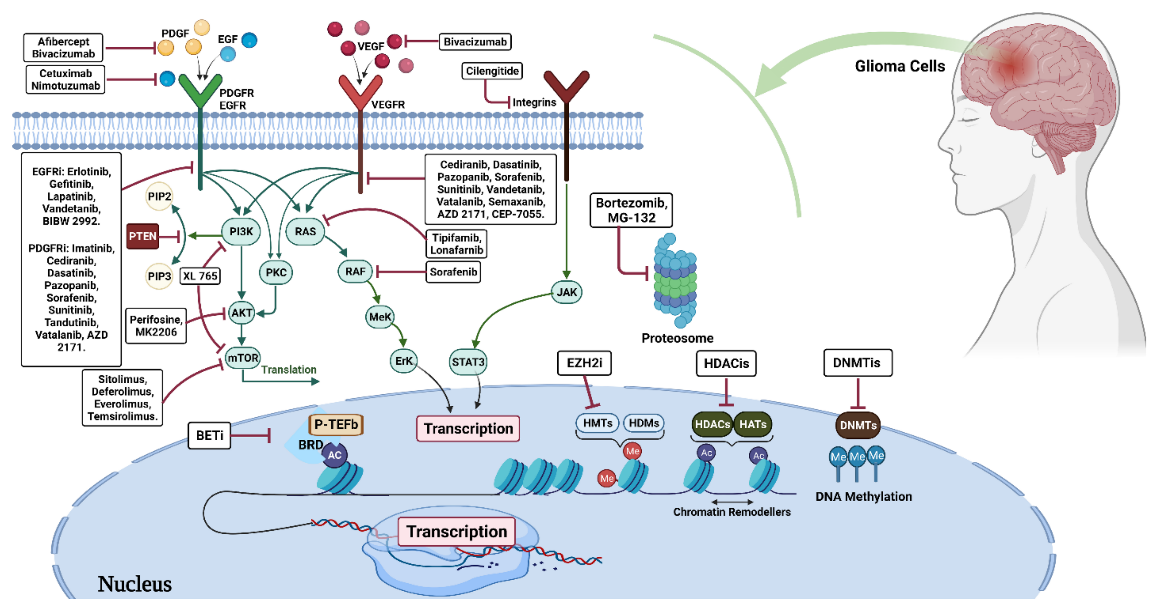 Vaccines 10 01448 g001 Vaccines 10 01448 g001
