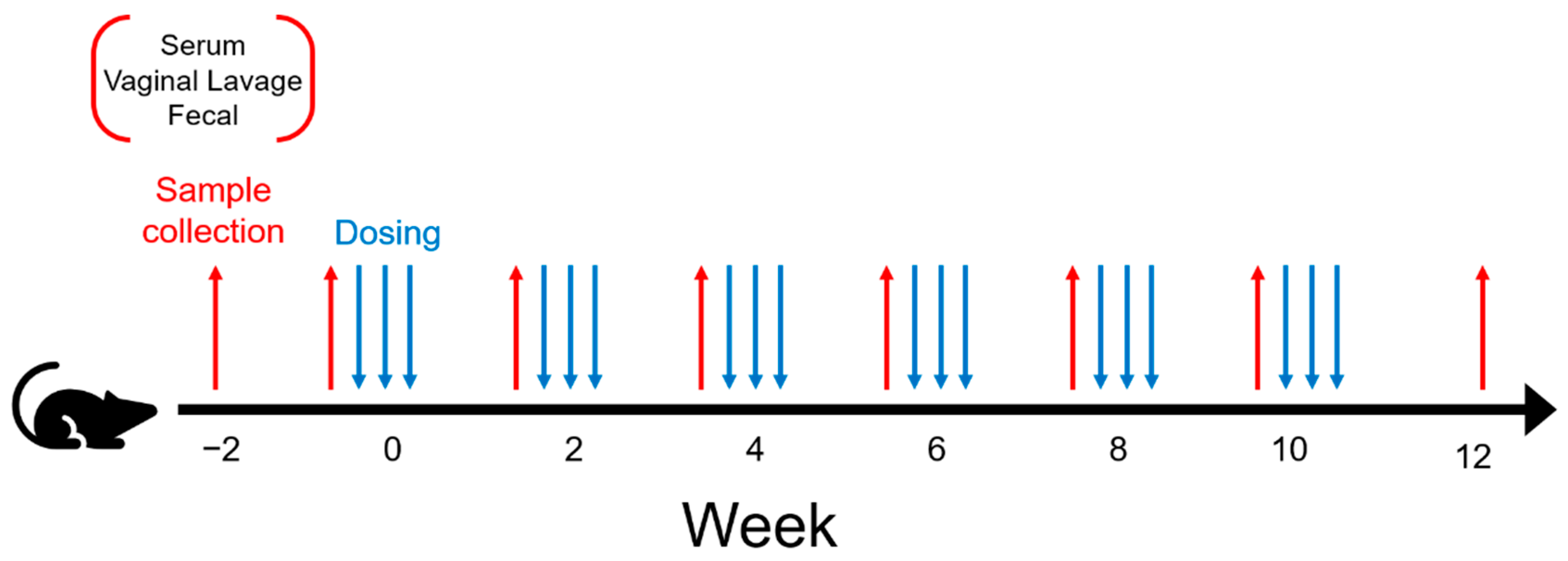Vaccines 10 01465 g001