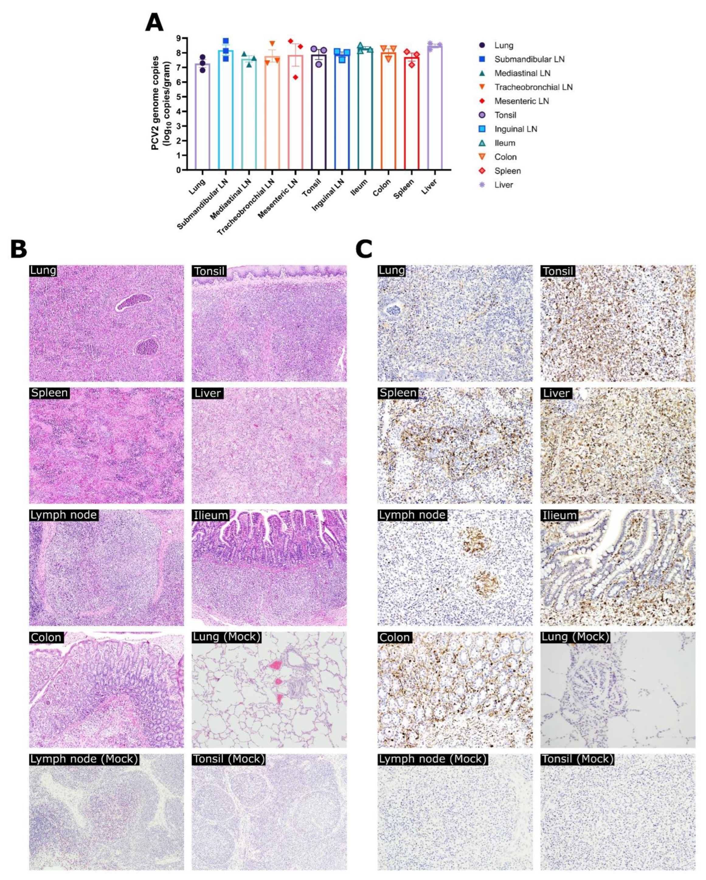 Vaccines 10 01469 g004