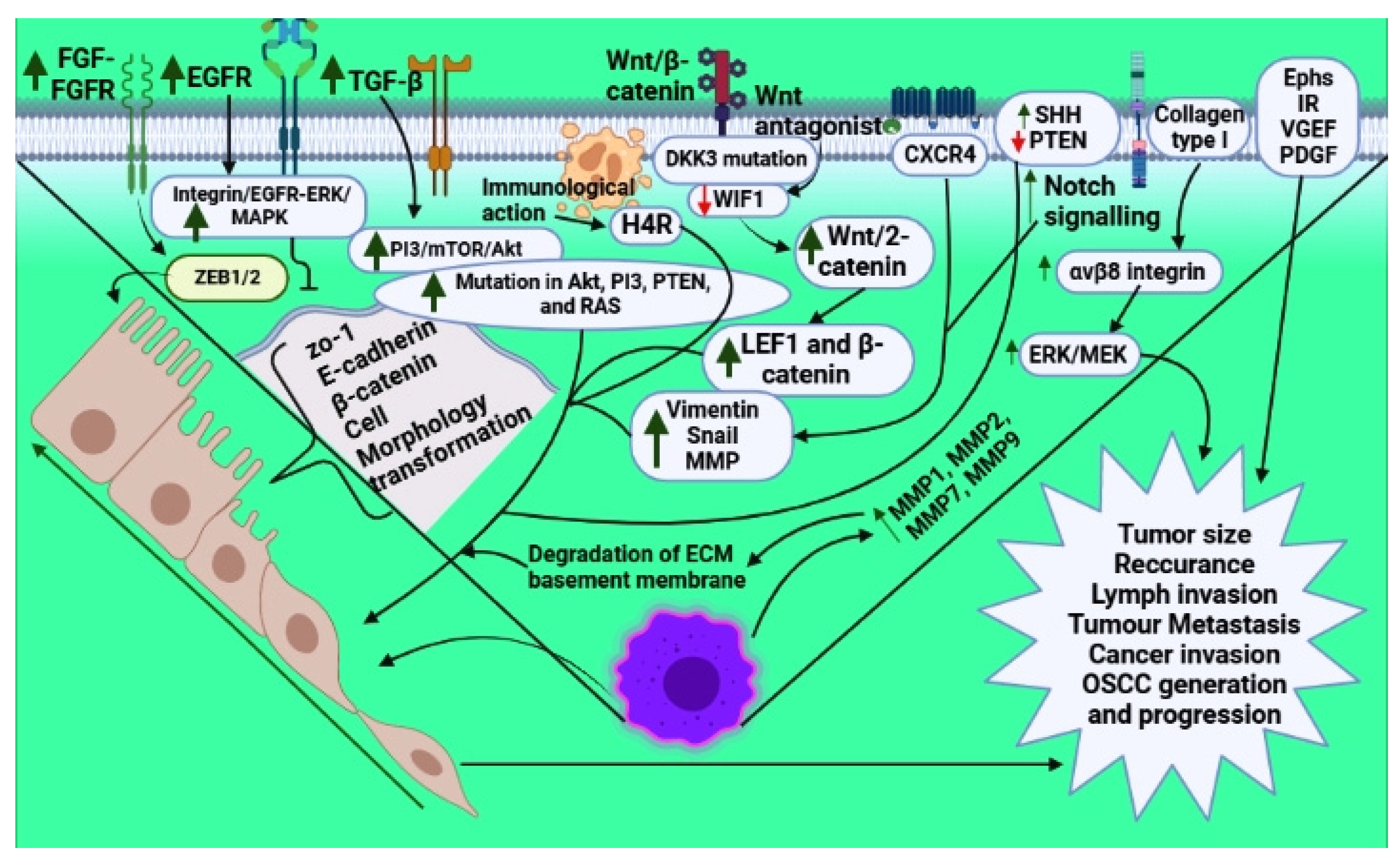 Vaccines 10 01490 g001