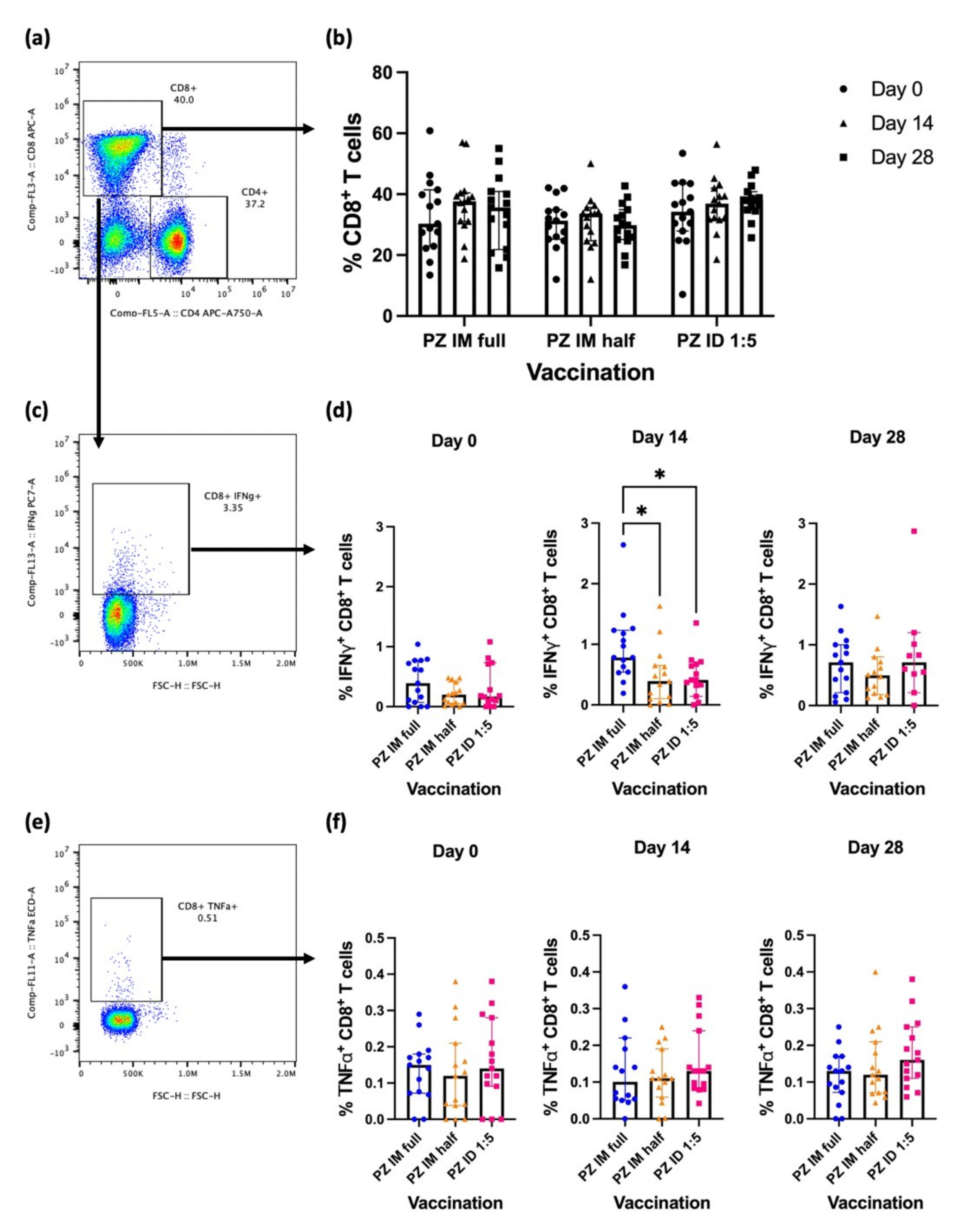 Vaccines 10 01494 g002