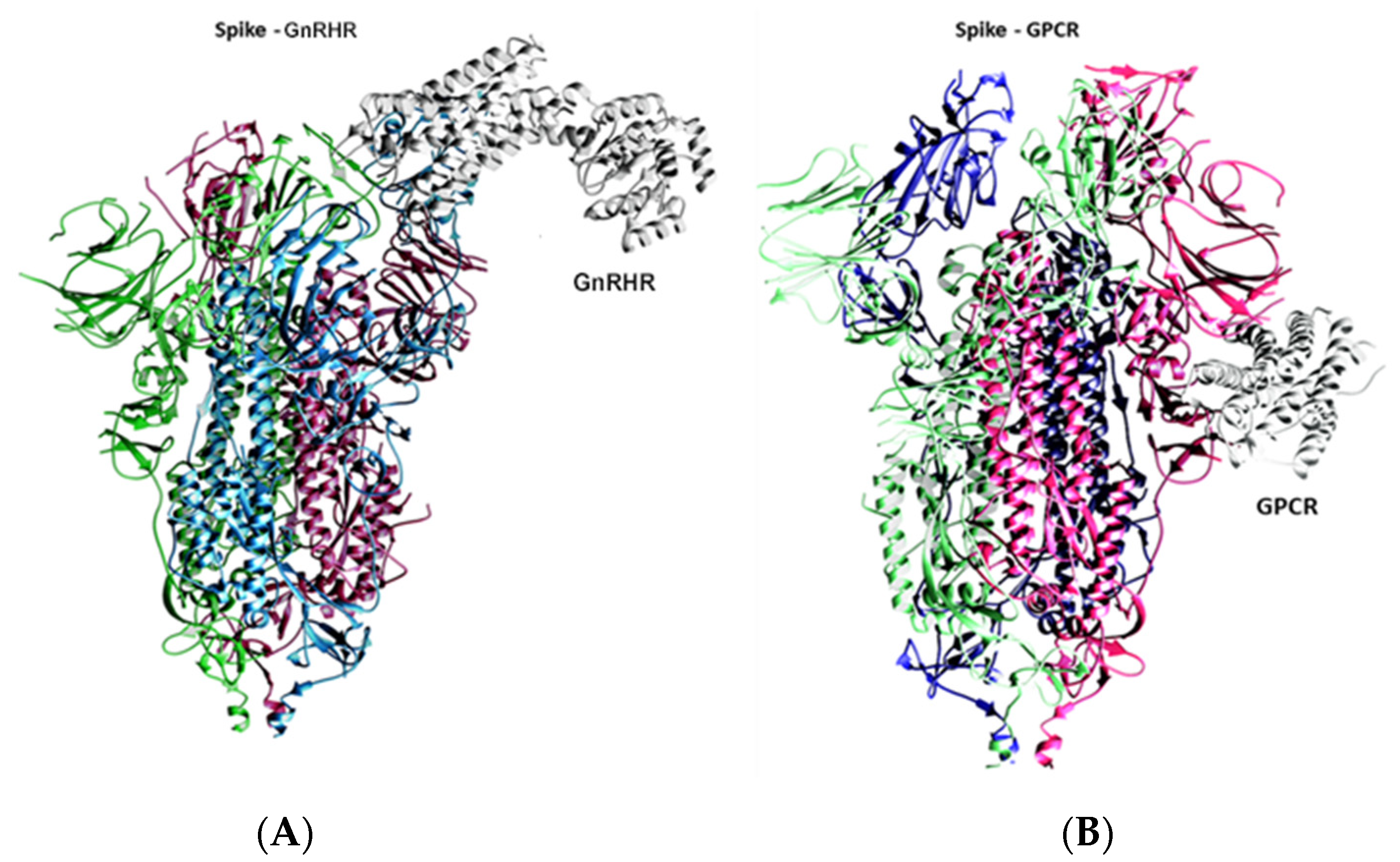 Vaccines 10 01500 g001