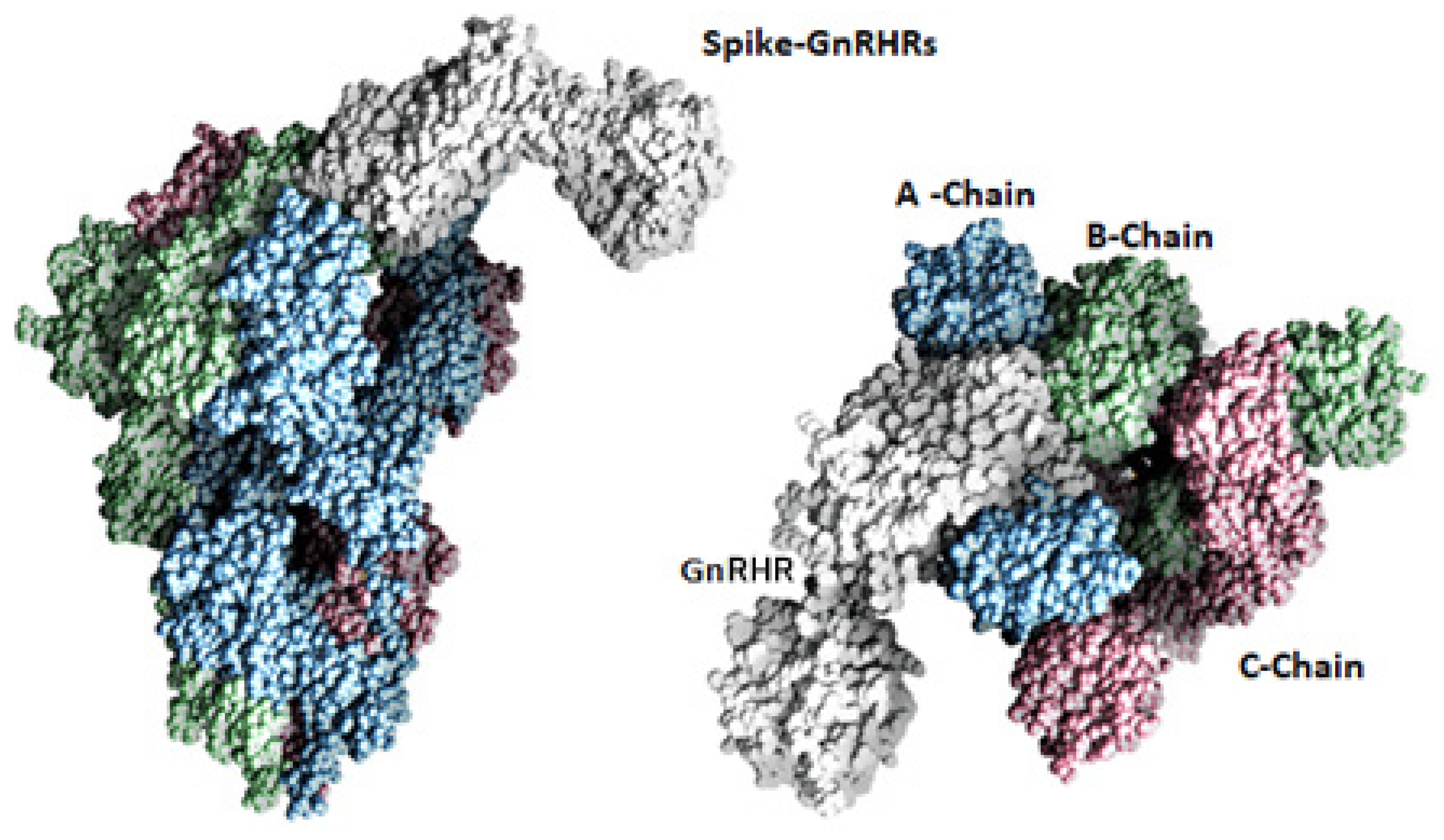 Vaccines 10 01500 g002