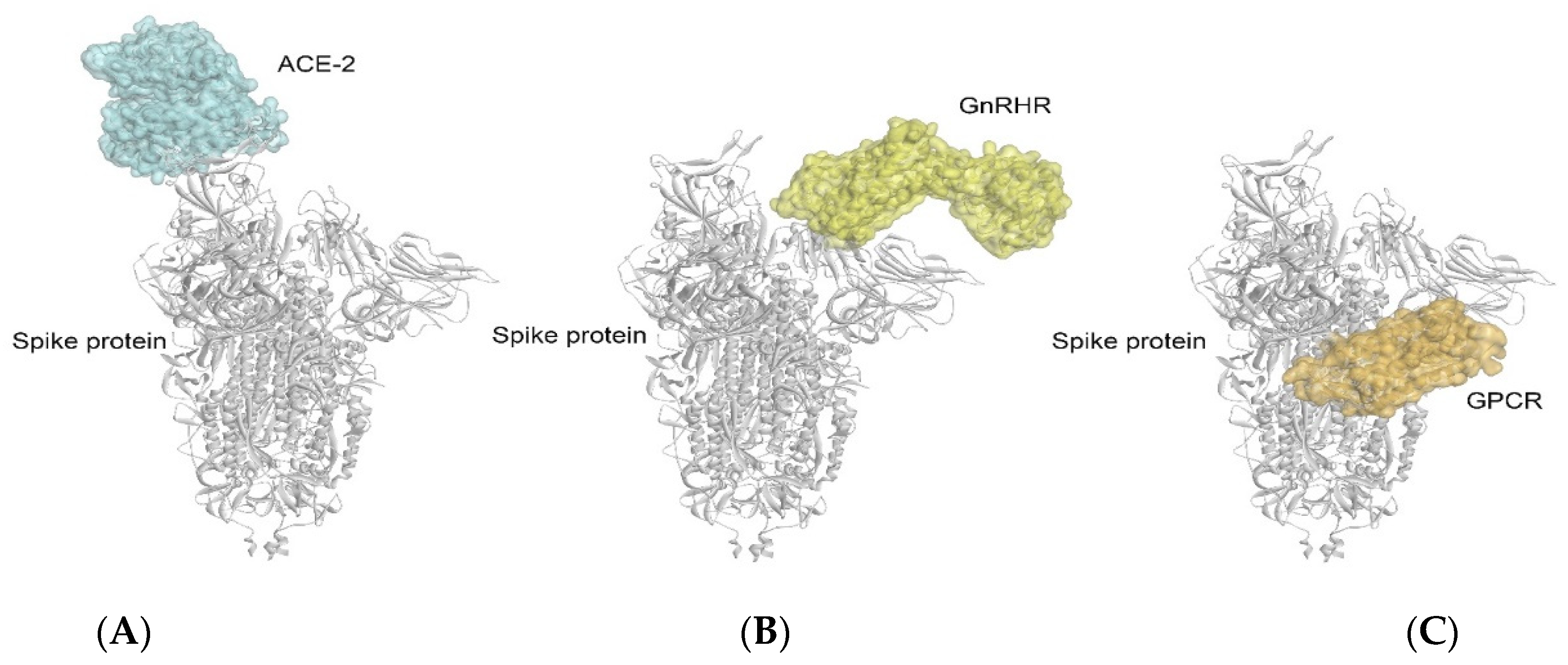 Vaccines 10 01500 g006