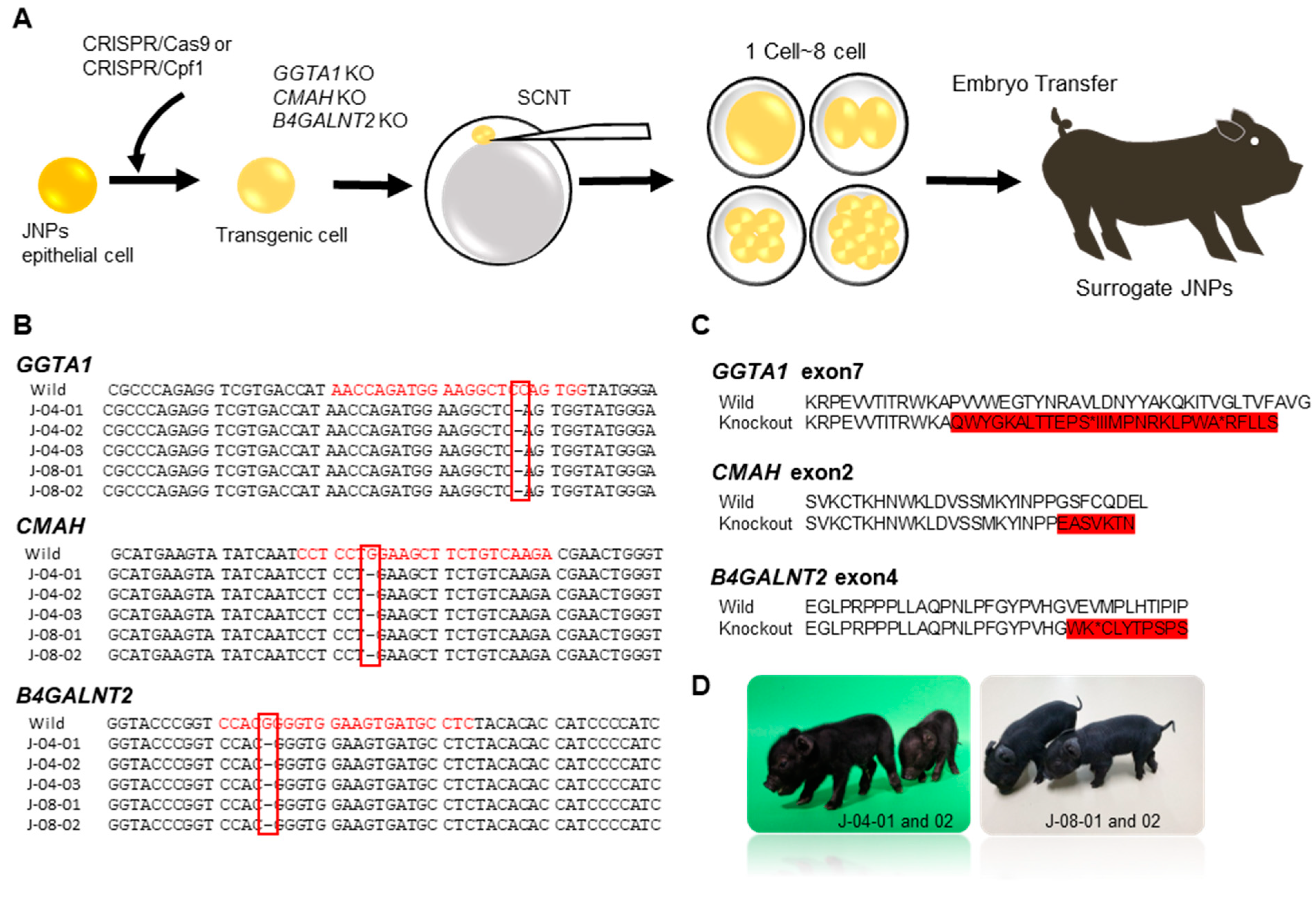 Vaccines 10 01503 g001