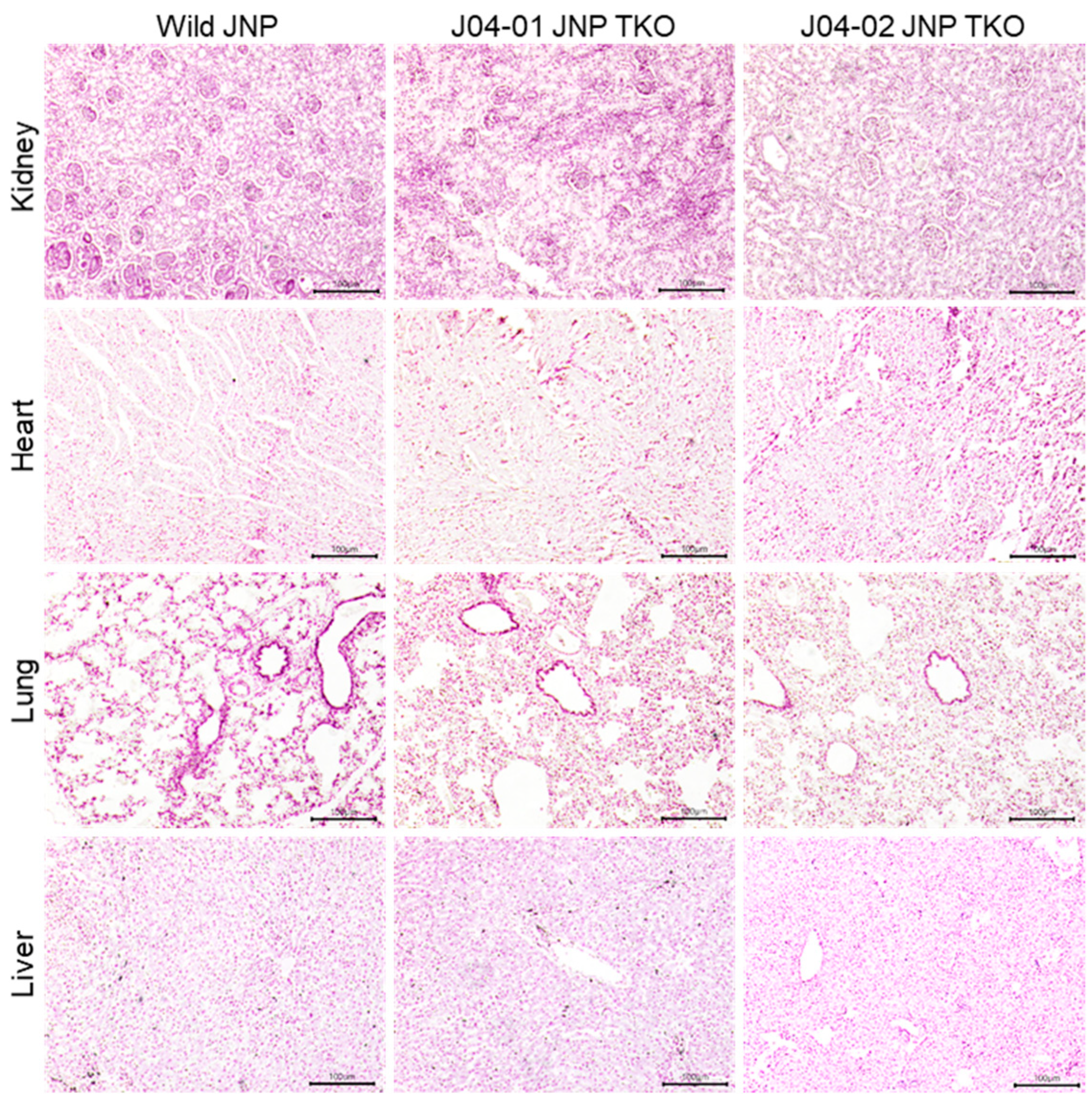 Vaccines 10 01503 g003