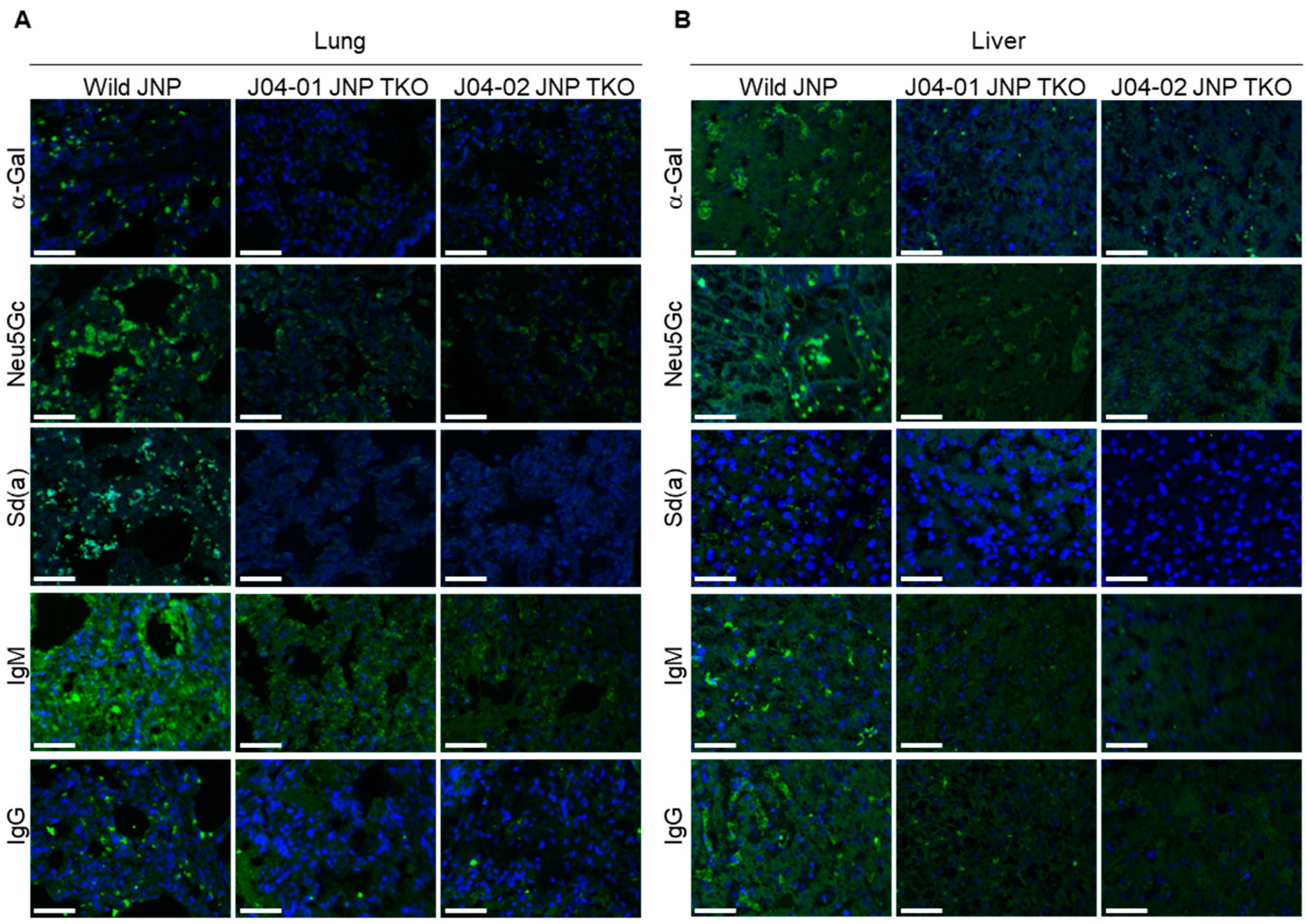 Vaccines 10 01503 g005