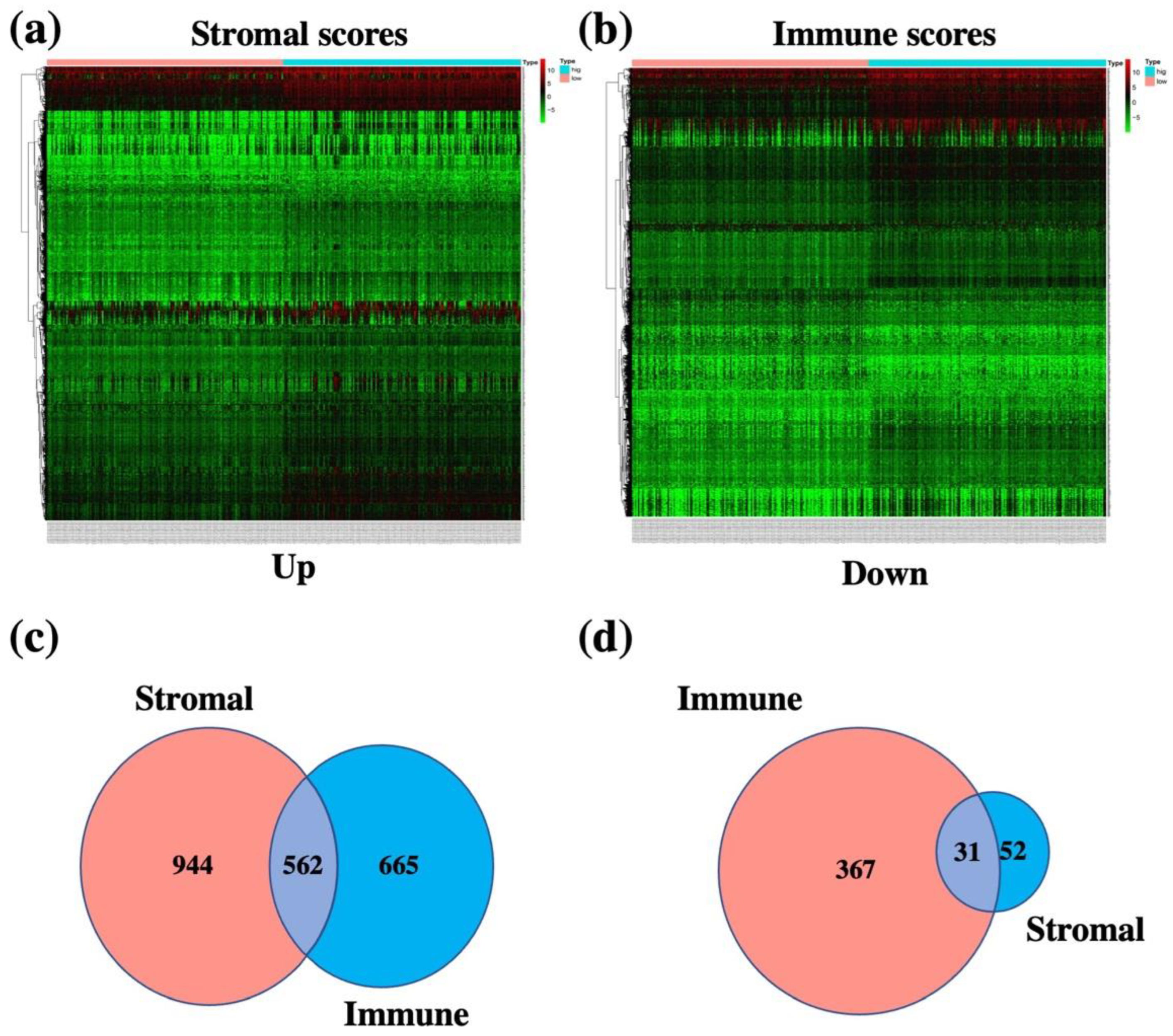 Vaccines 10 01521 g003