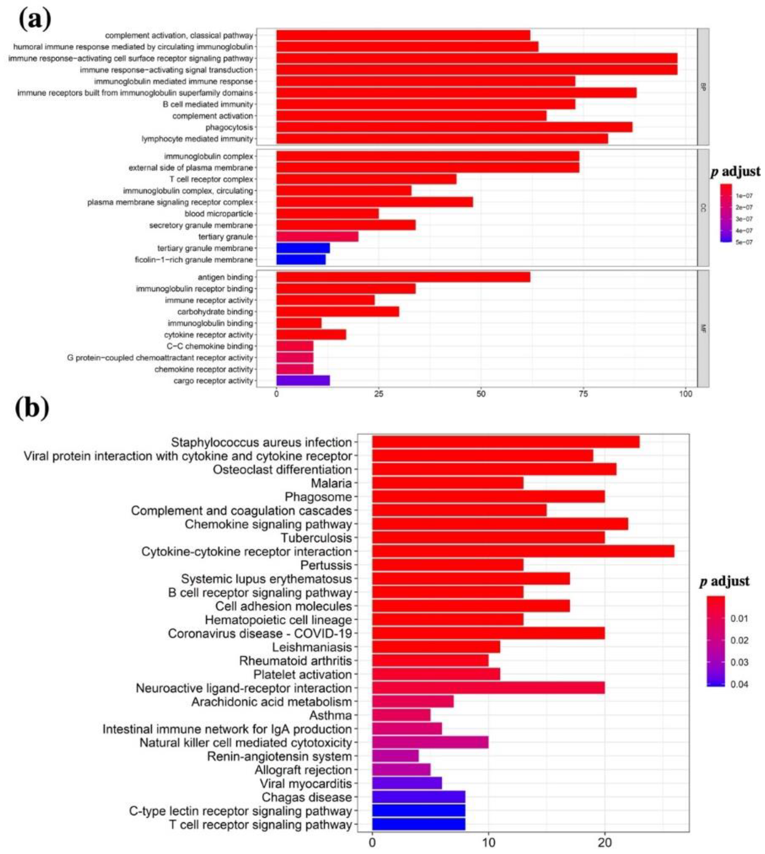 Vaccines 10 01521 g004