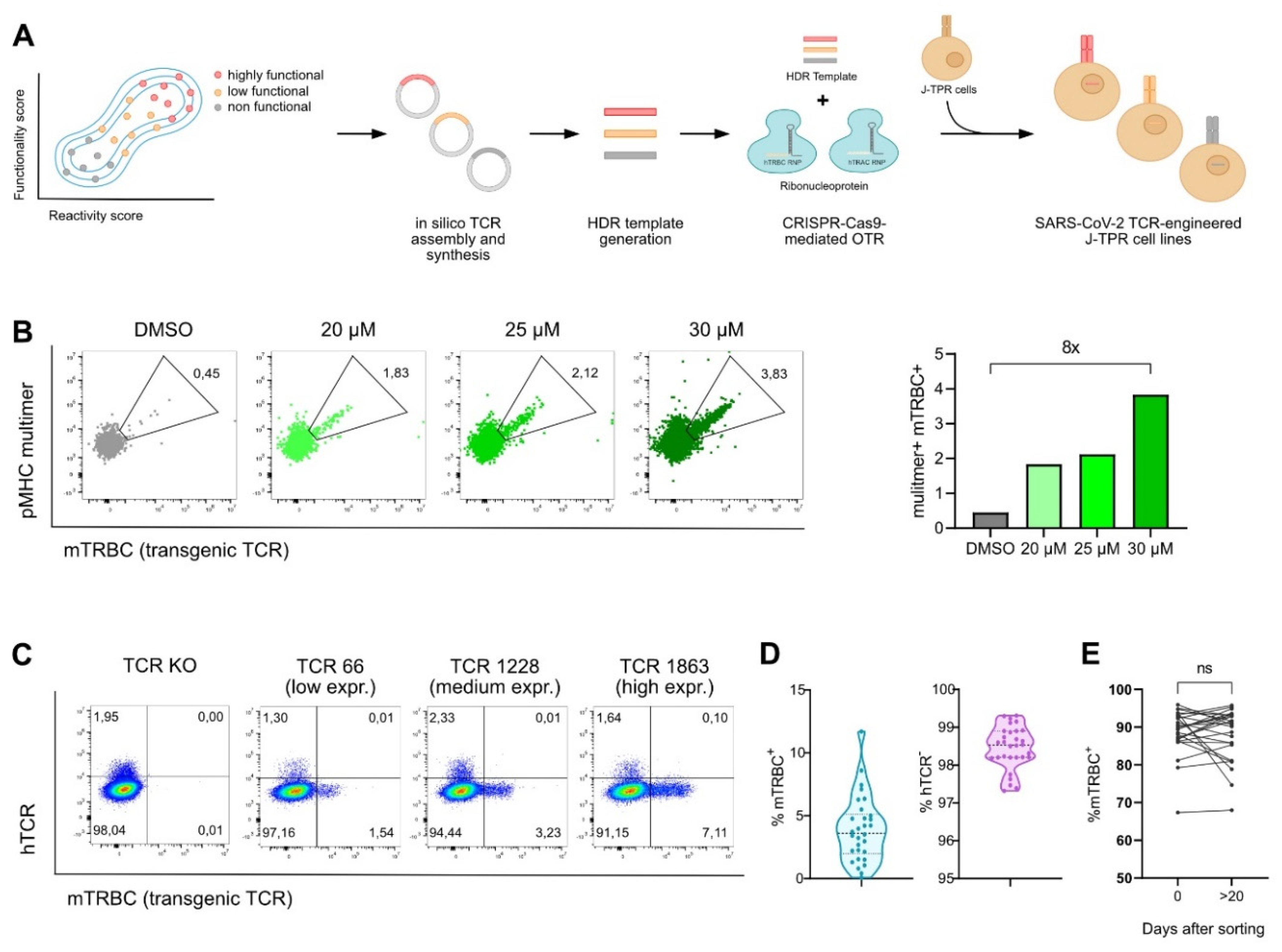 Vaccines 10 01617 g001
