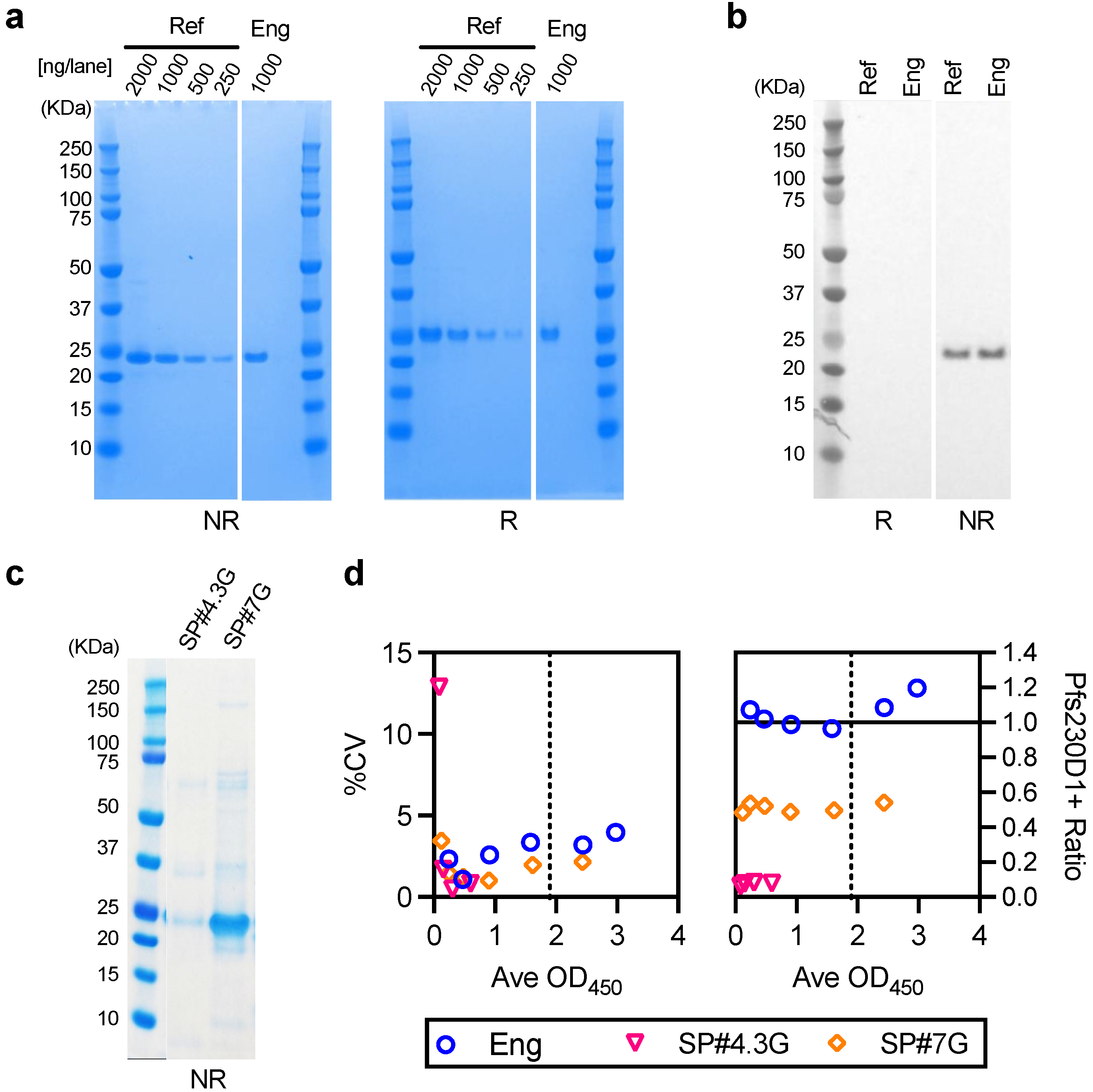 Vaccines 10 01628 g007