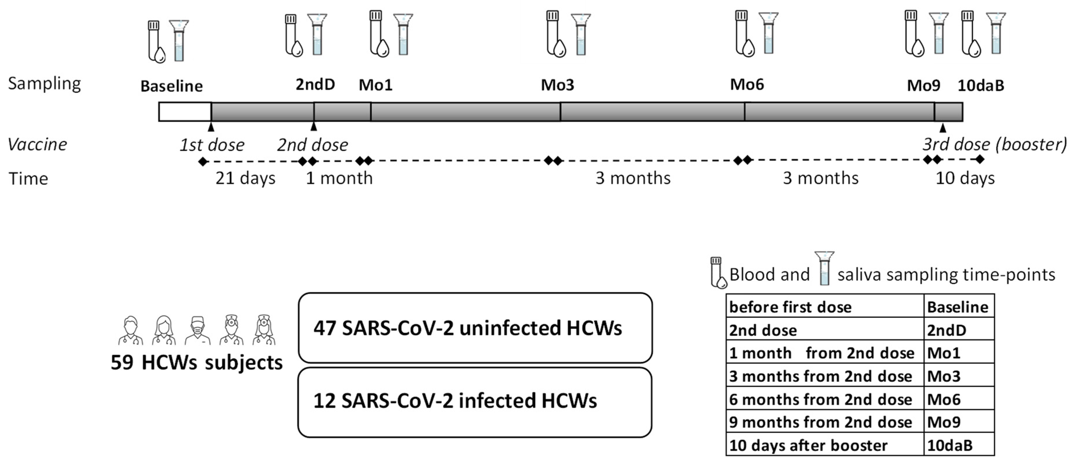 Vaccines 10 01649 g001