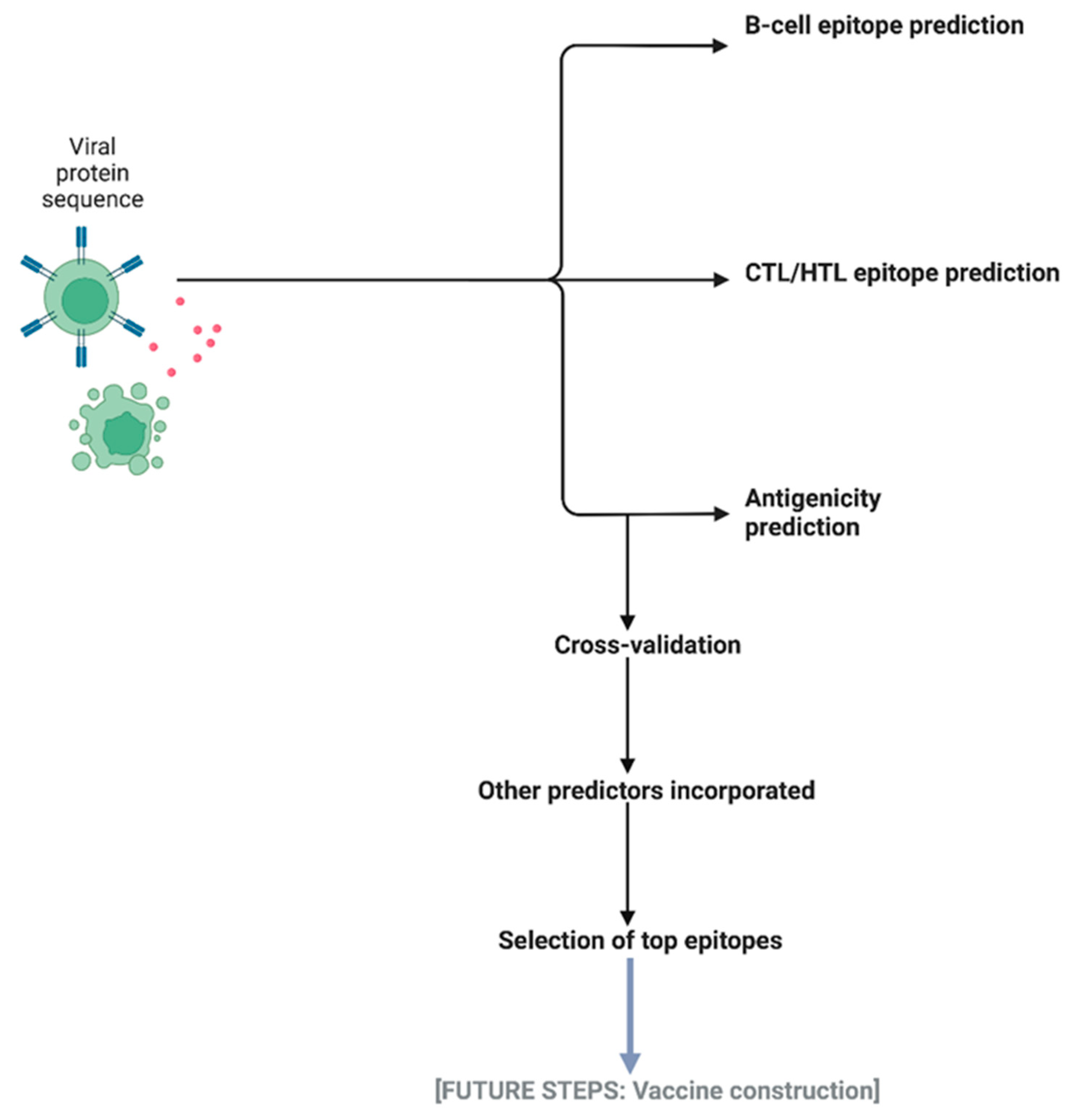 Vaccines 10 01678 g008