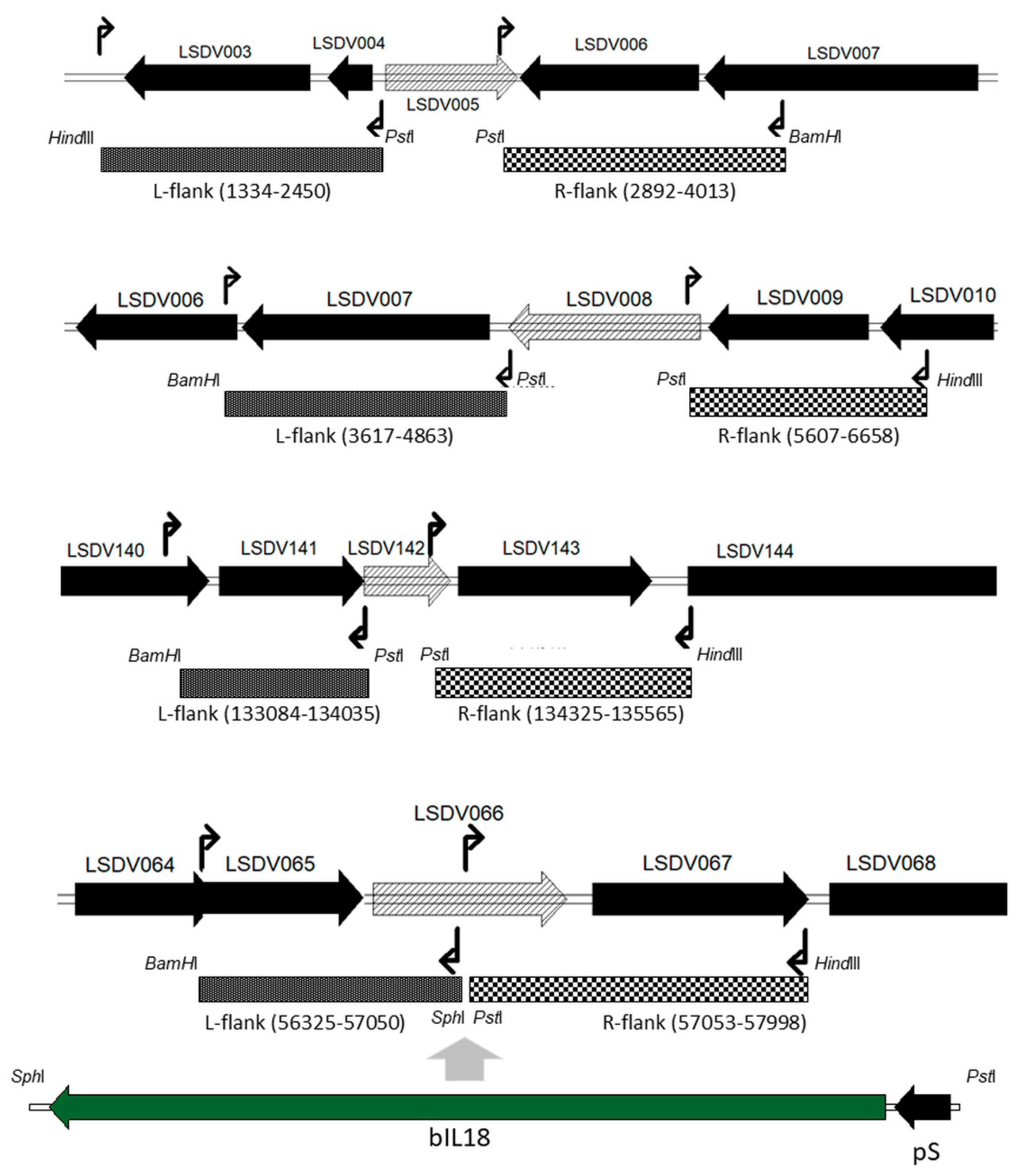 Vaccines 10 01705 g001