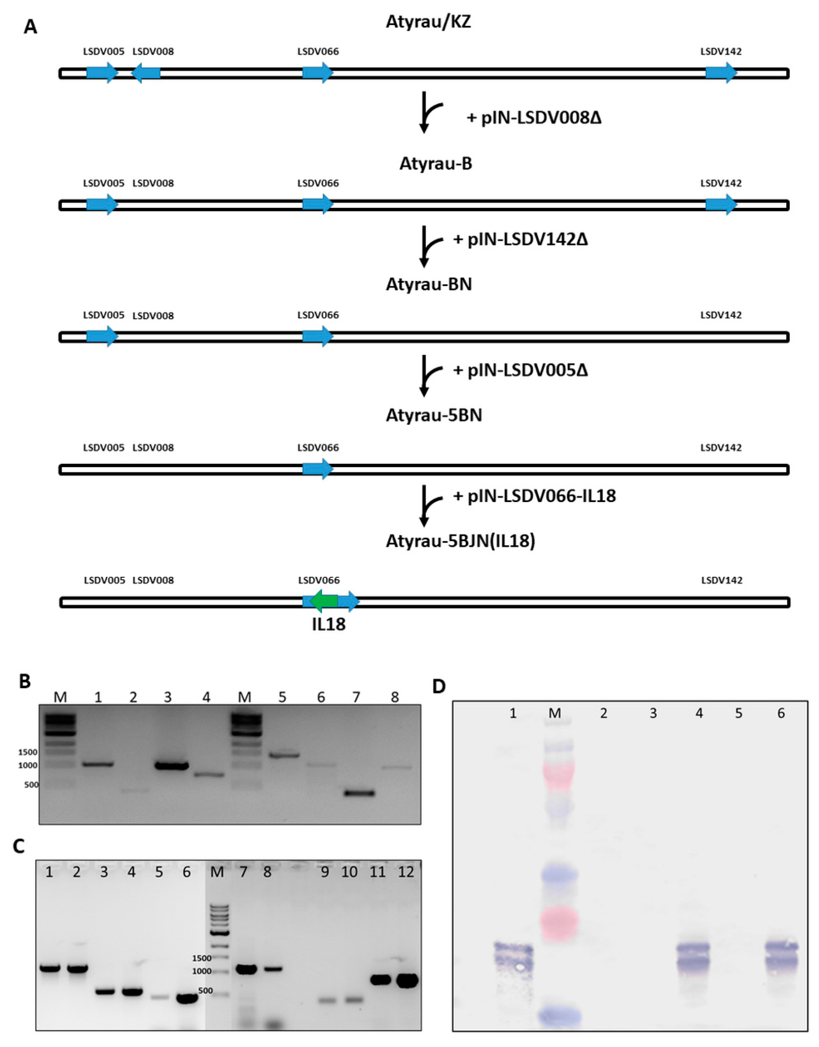 Vaccines 10 01705 g002