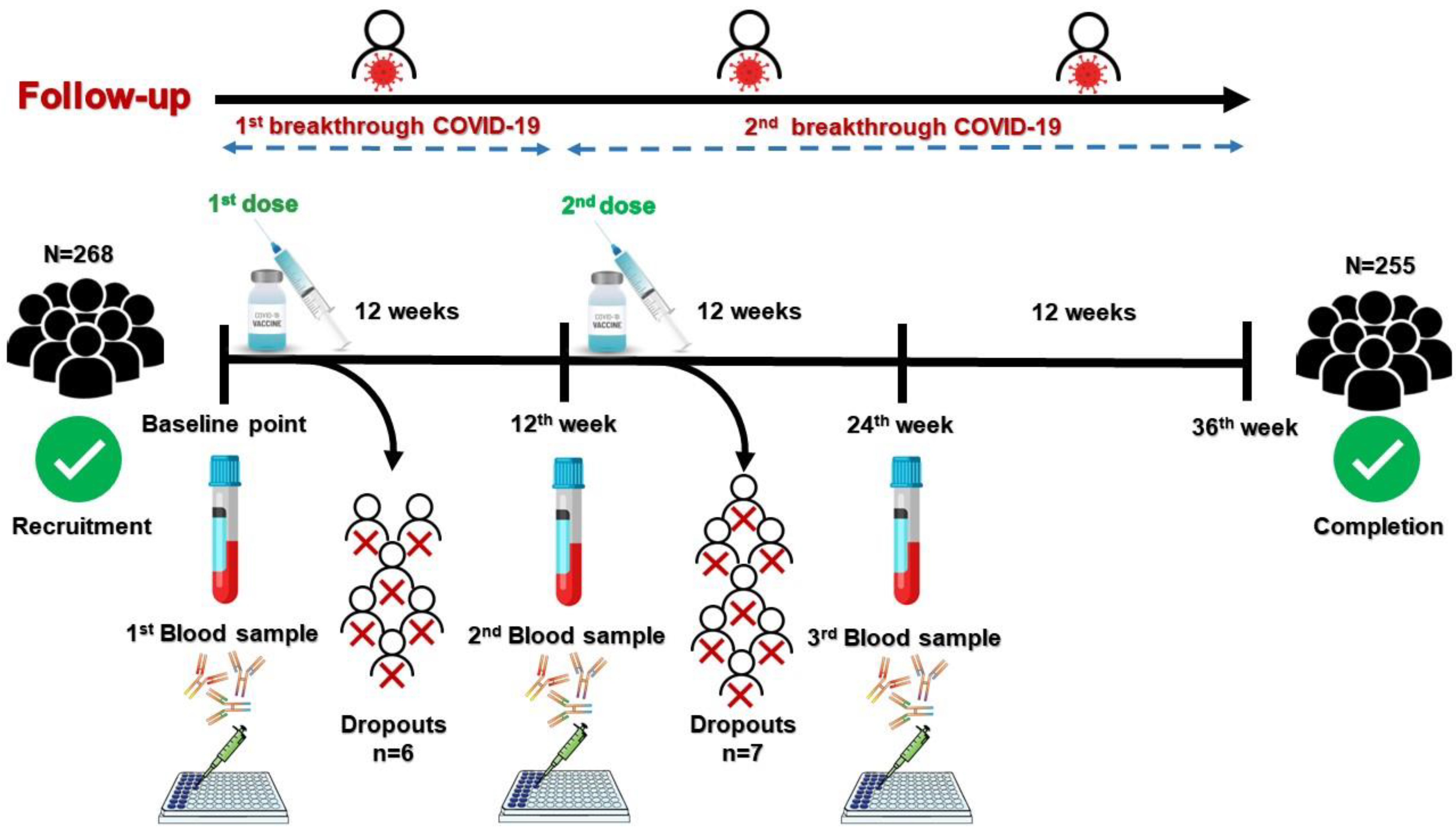Vaccines 10 01706 g001