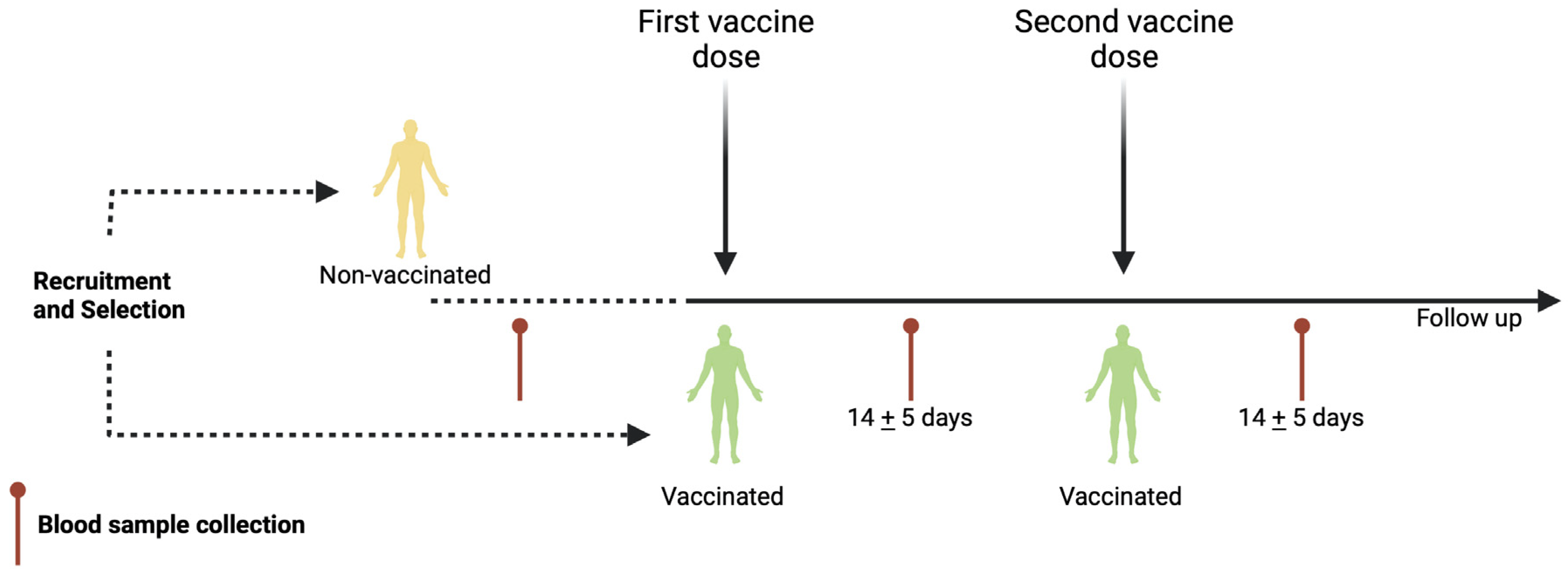 Vaccines 10 01761 g001