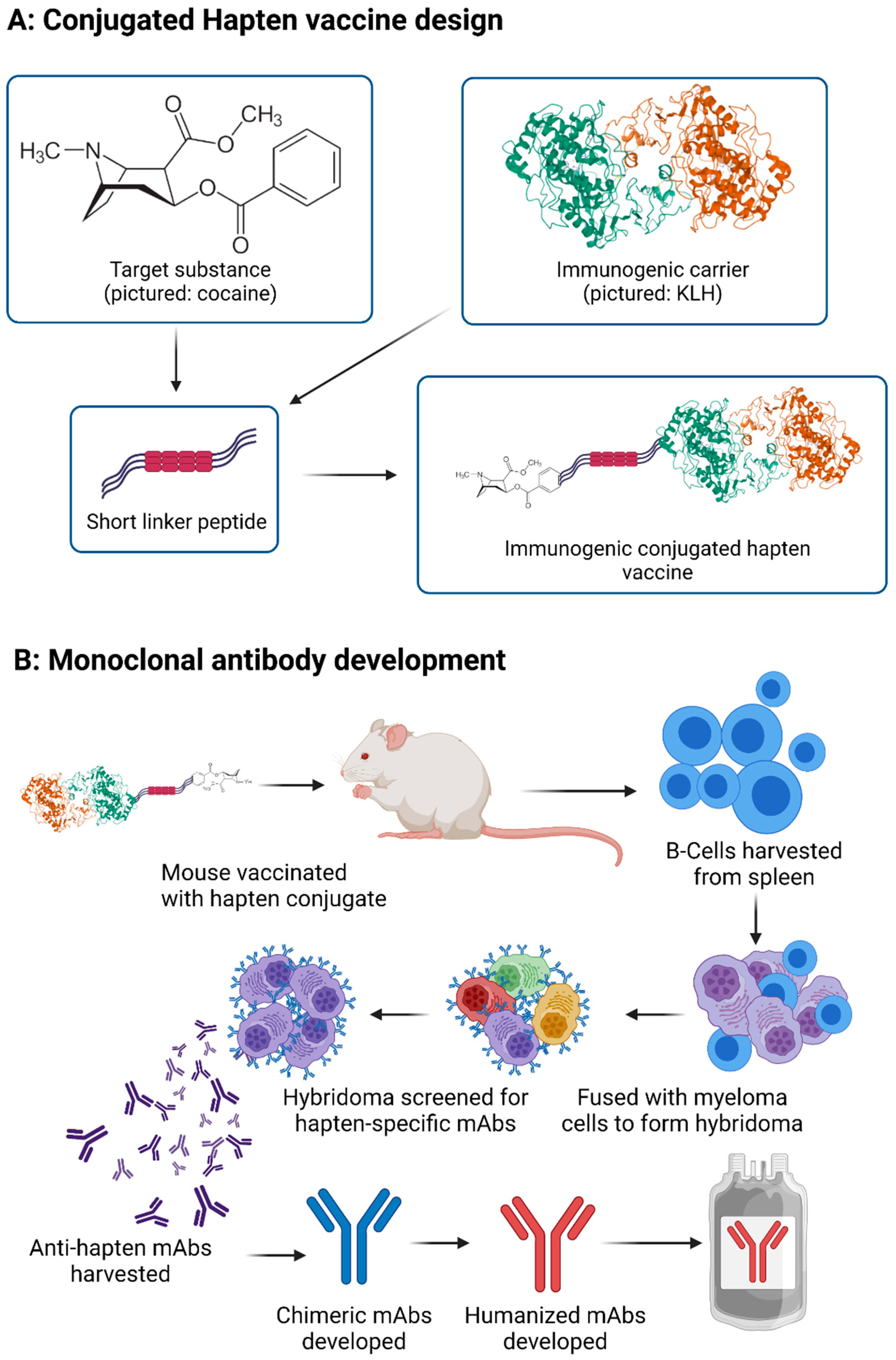 Vaccines 10 01778 g002