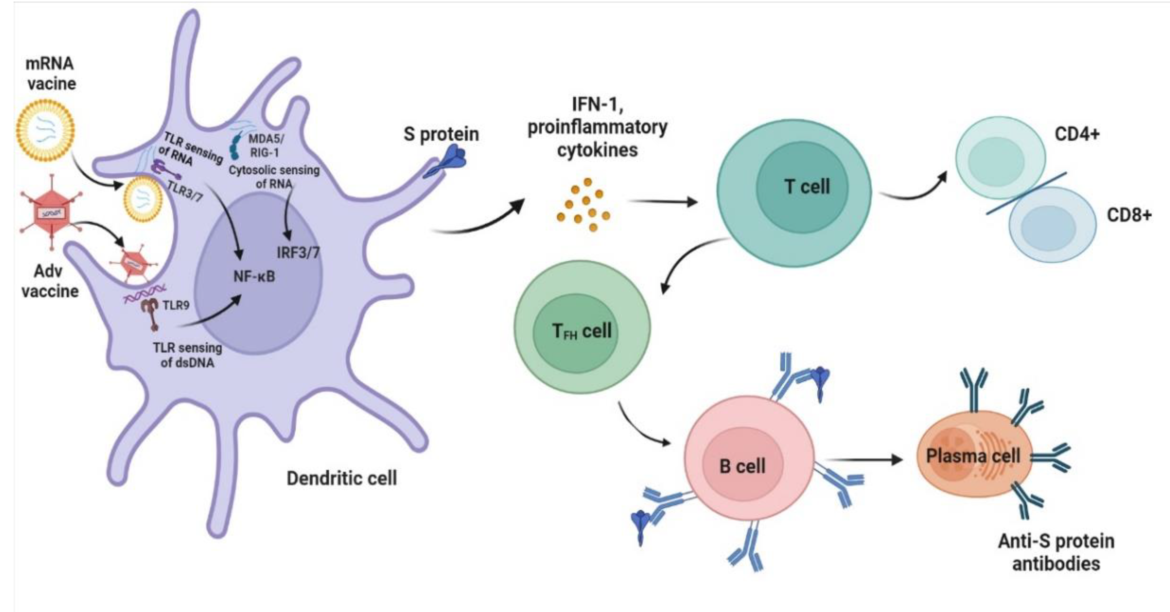 Vaccines 10 01783 g002