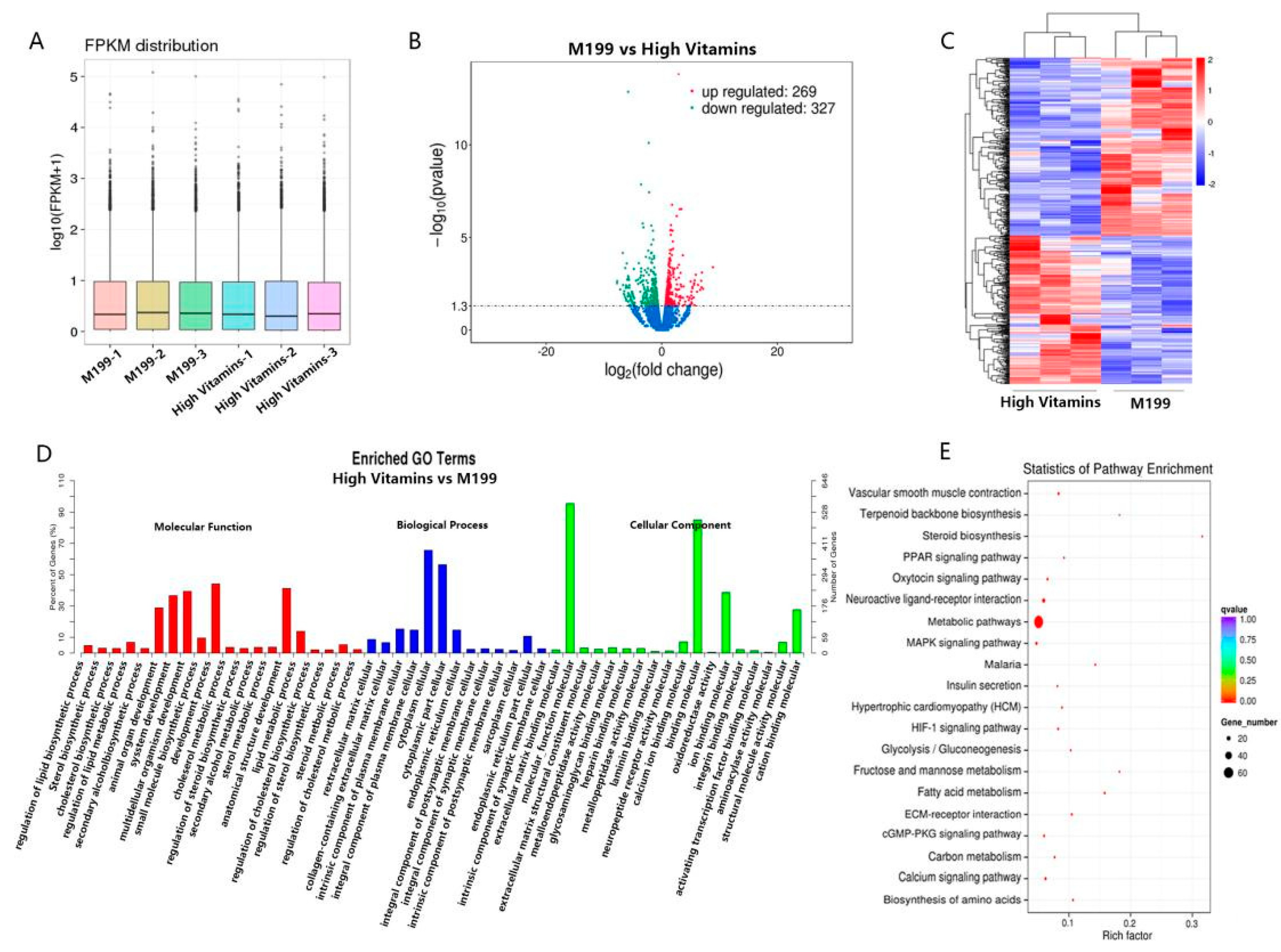 Vaccines 10 01787 g002