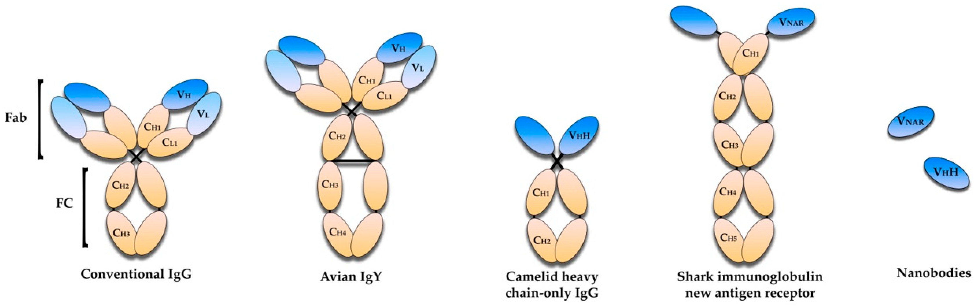 Vaccines 10 01789 g002 Vaccines 10 01789 g002
